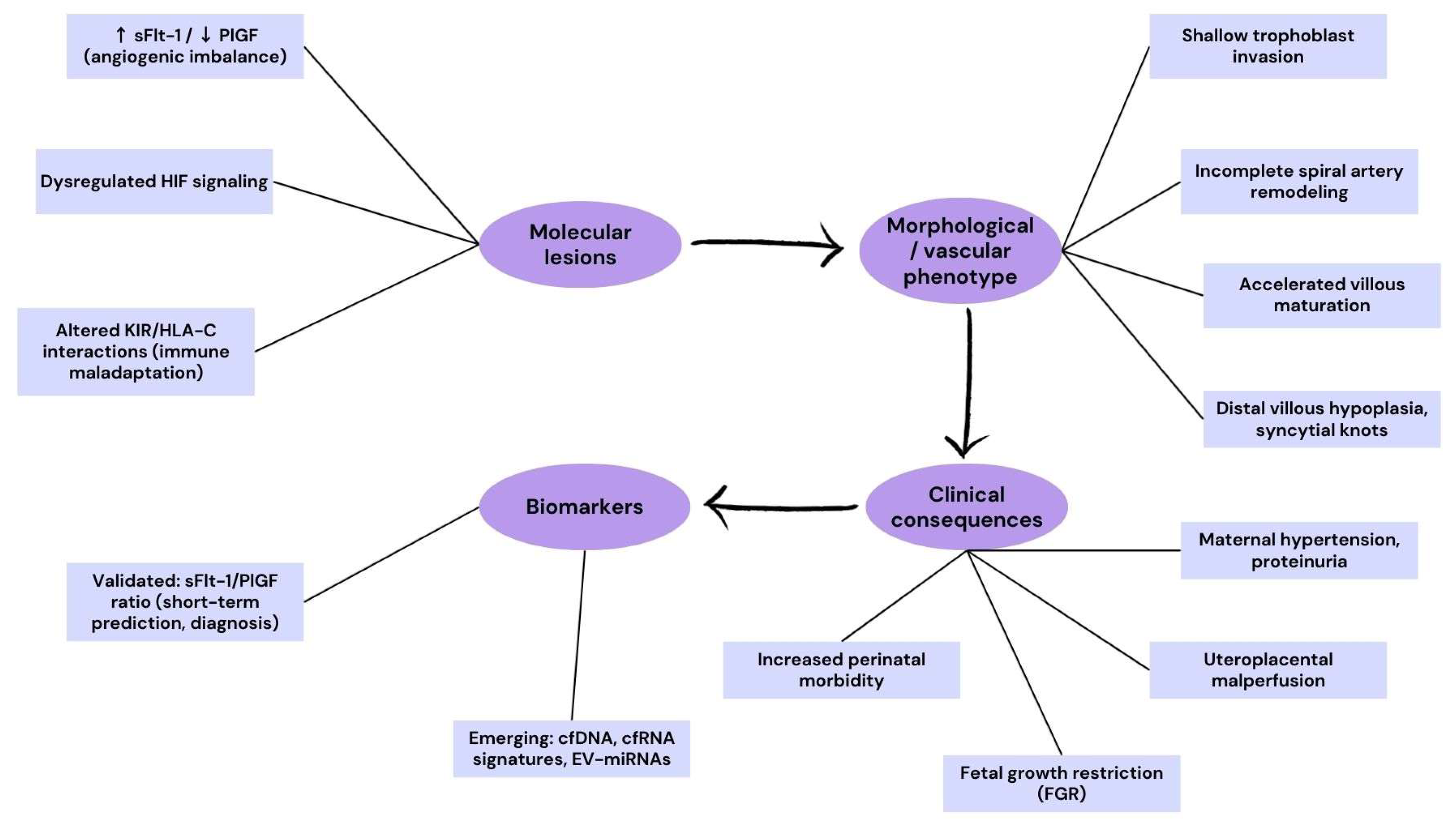 Ijms 26 09483 g002 Ijms 26 09483 g002