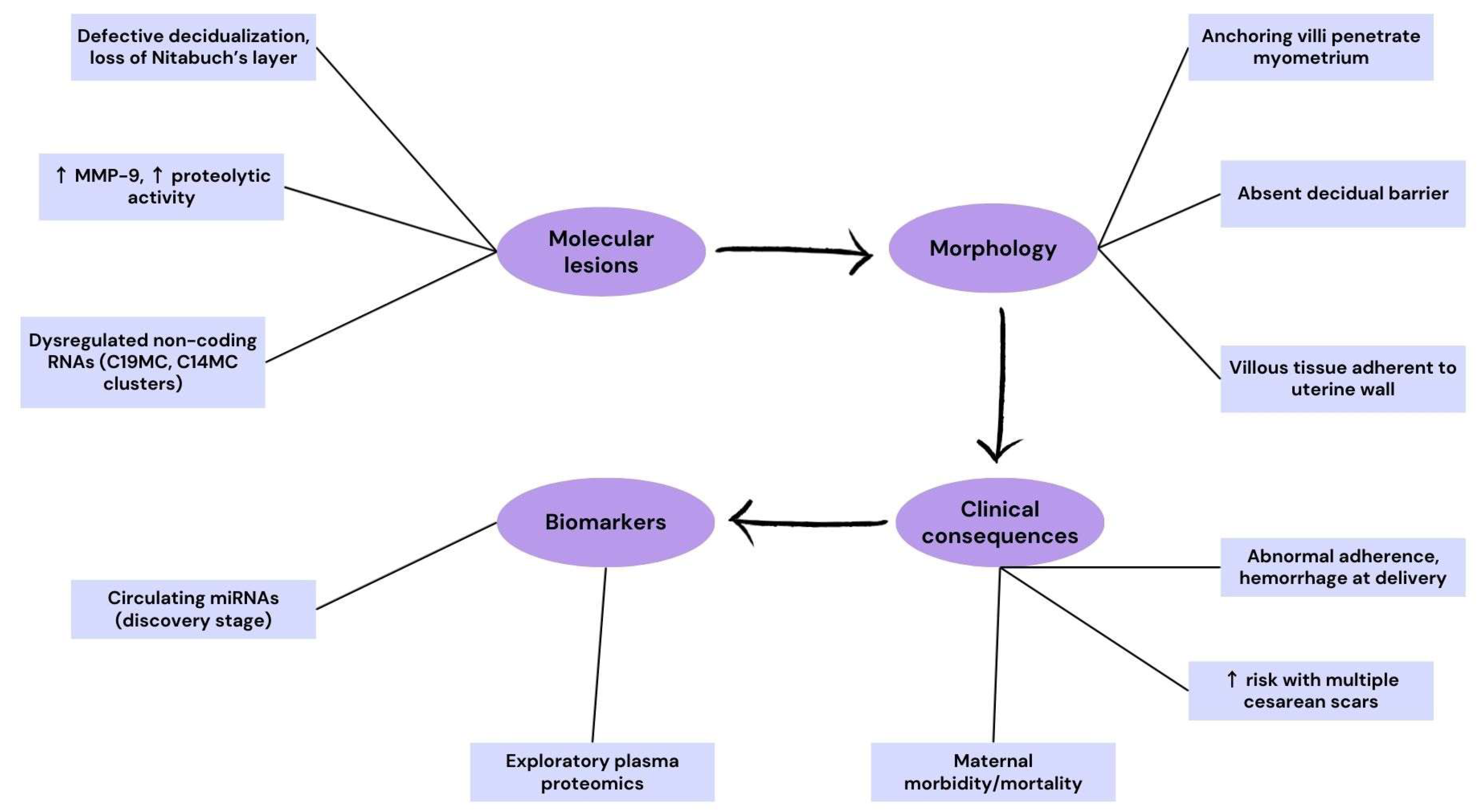 Ijms 26 09483 g003 Ijms 26 09483 g003