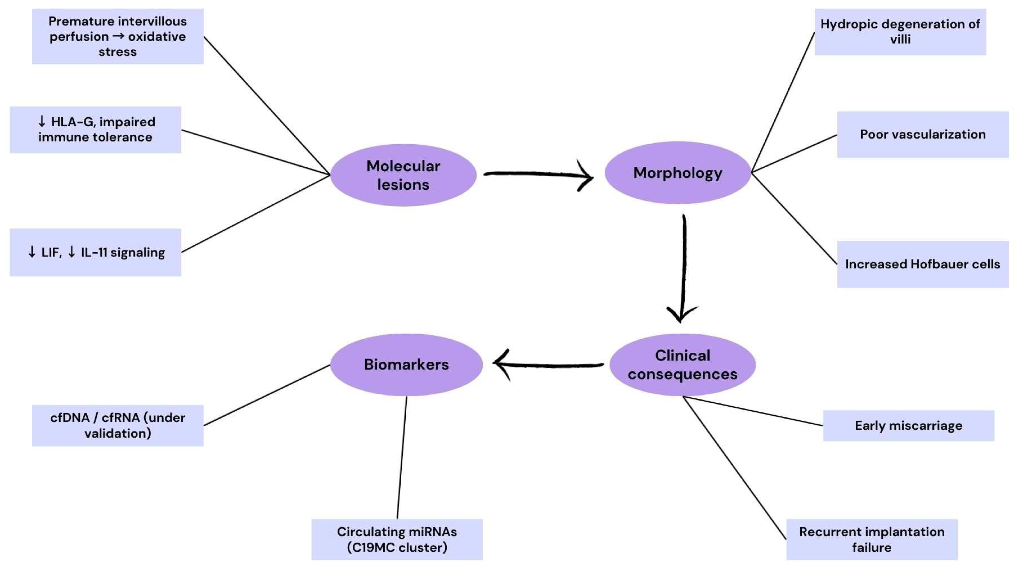 Ijms 26 09483 g005 Ijms 26 09483 g005