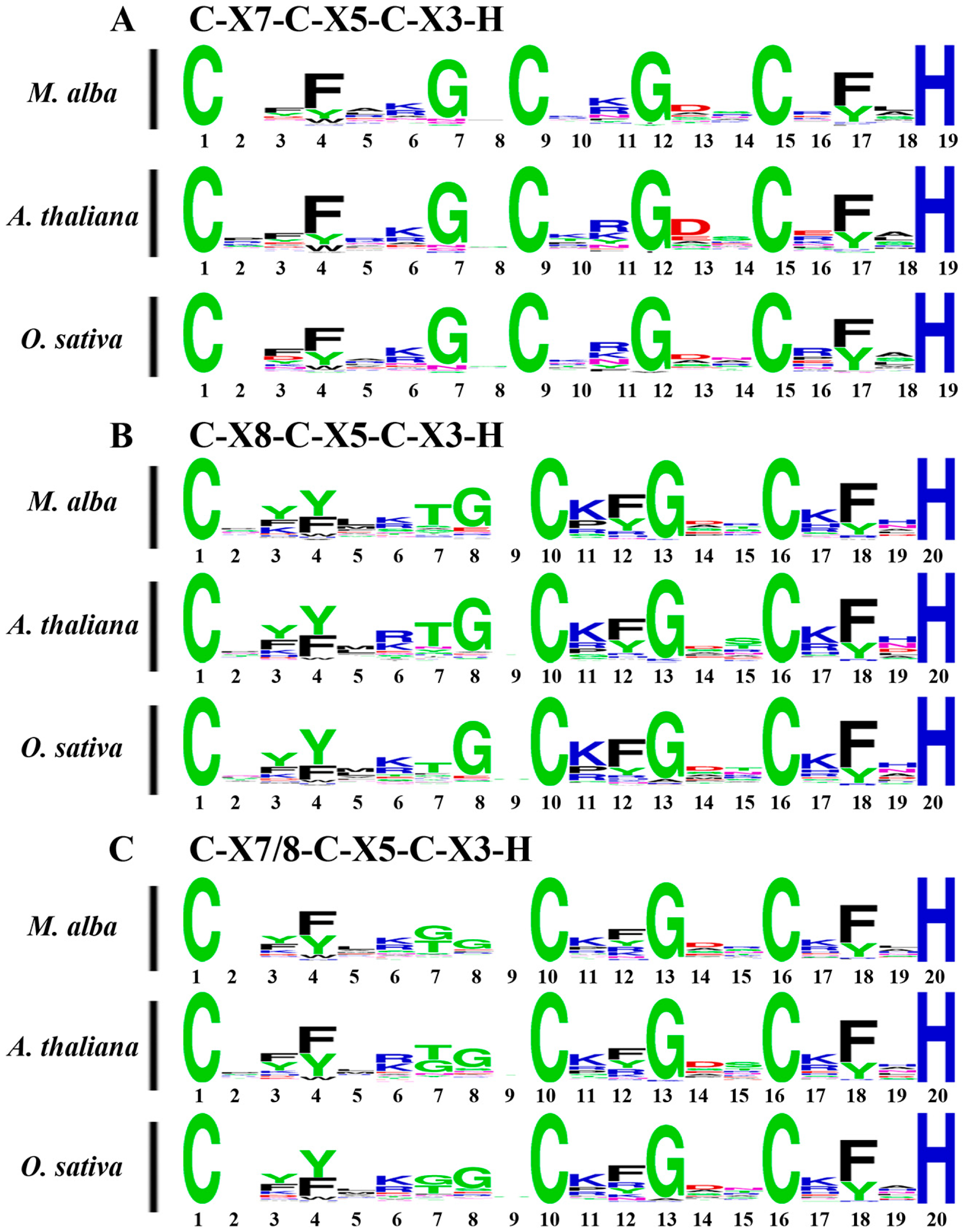 Ijms 26 09490 g001 Ijms 26 09490 g001
