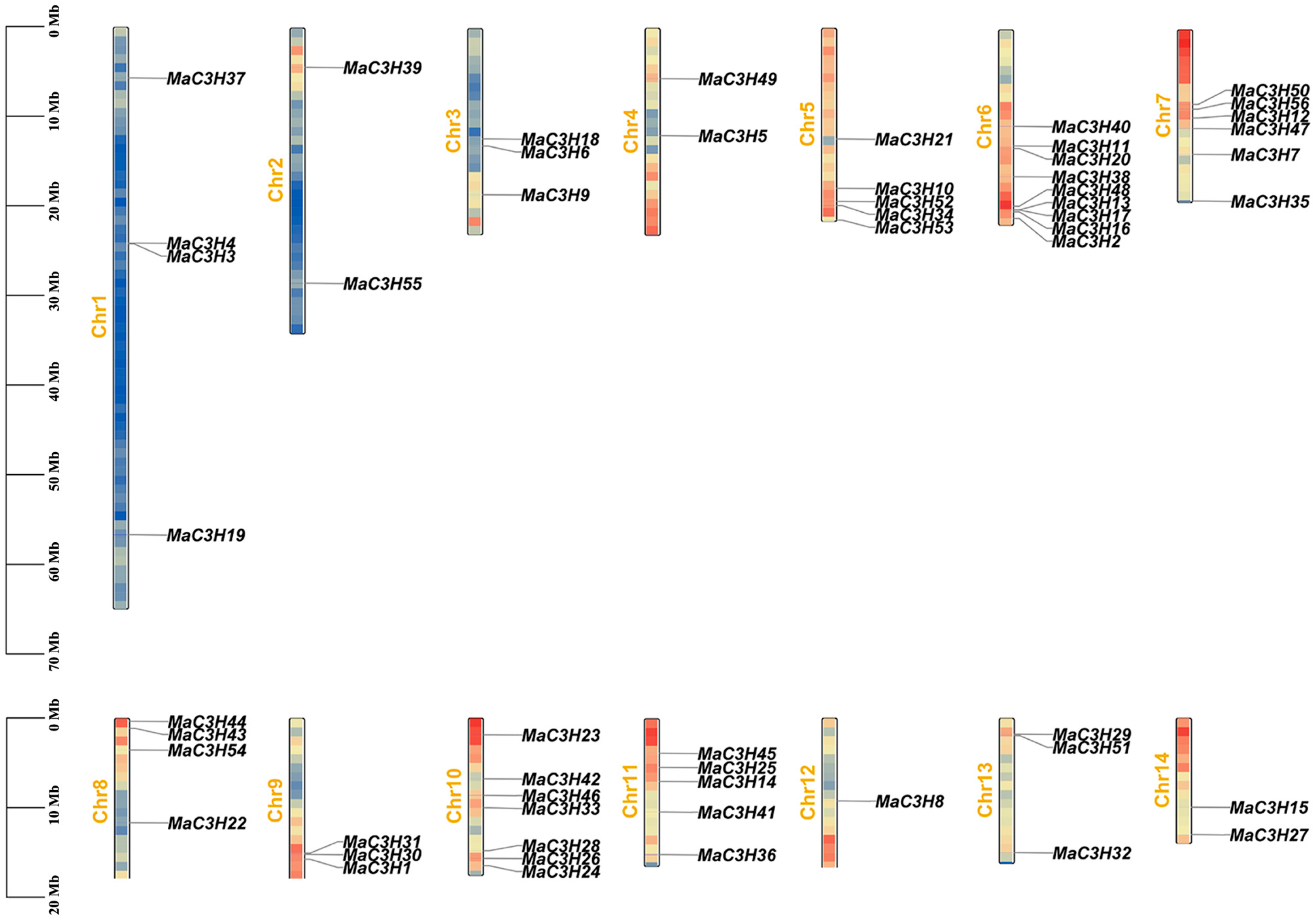 Ijms 26 09490 g002 Ijms 26 09490 g002