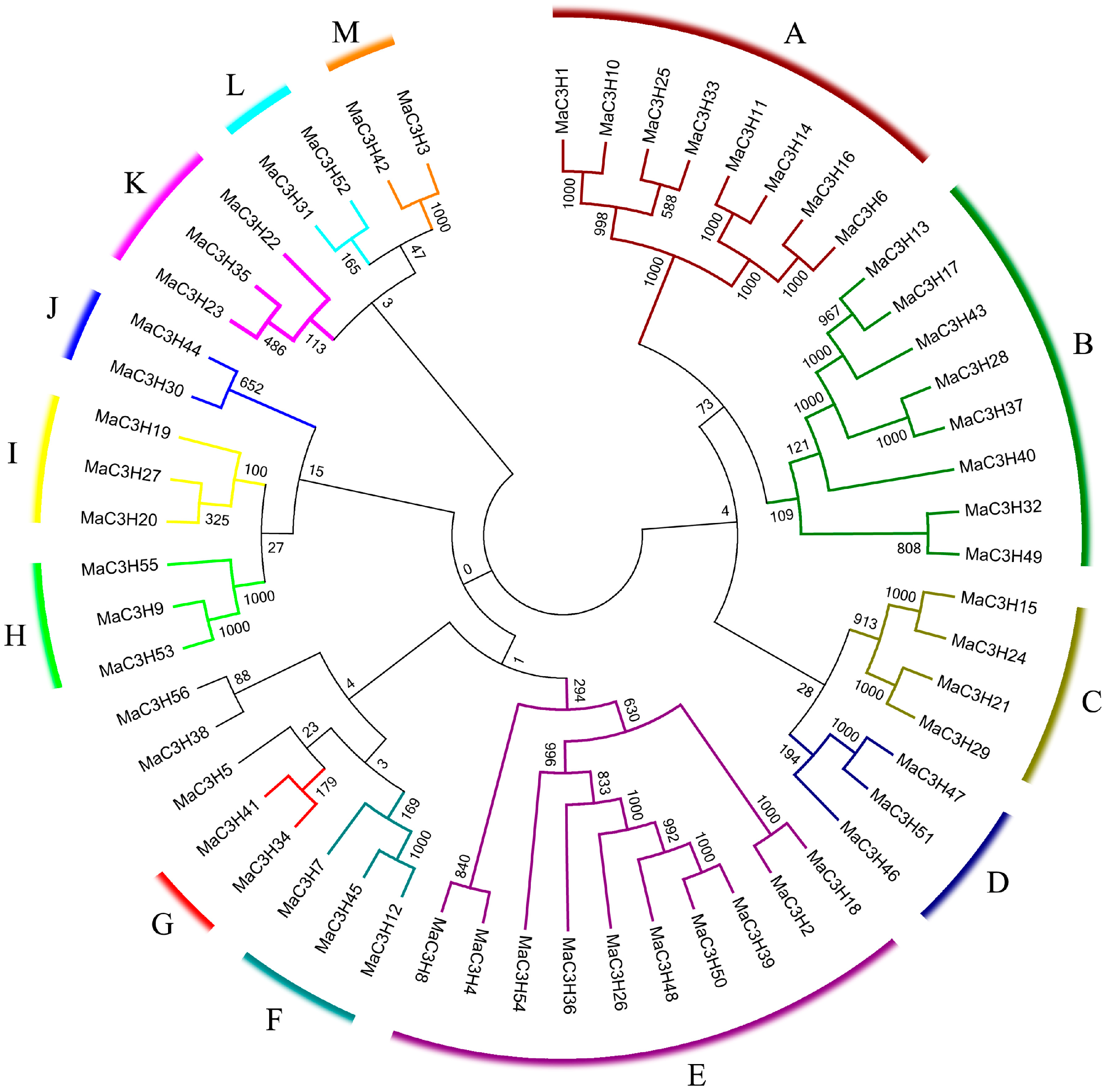 Ijms 26 09490 g003 Ijms 26 09490 g003