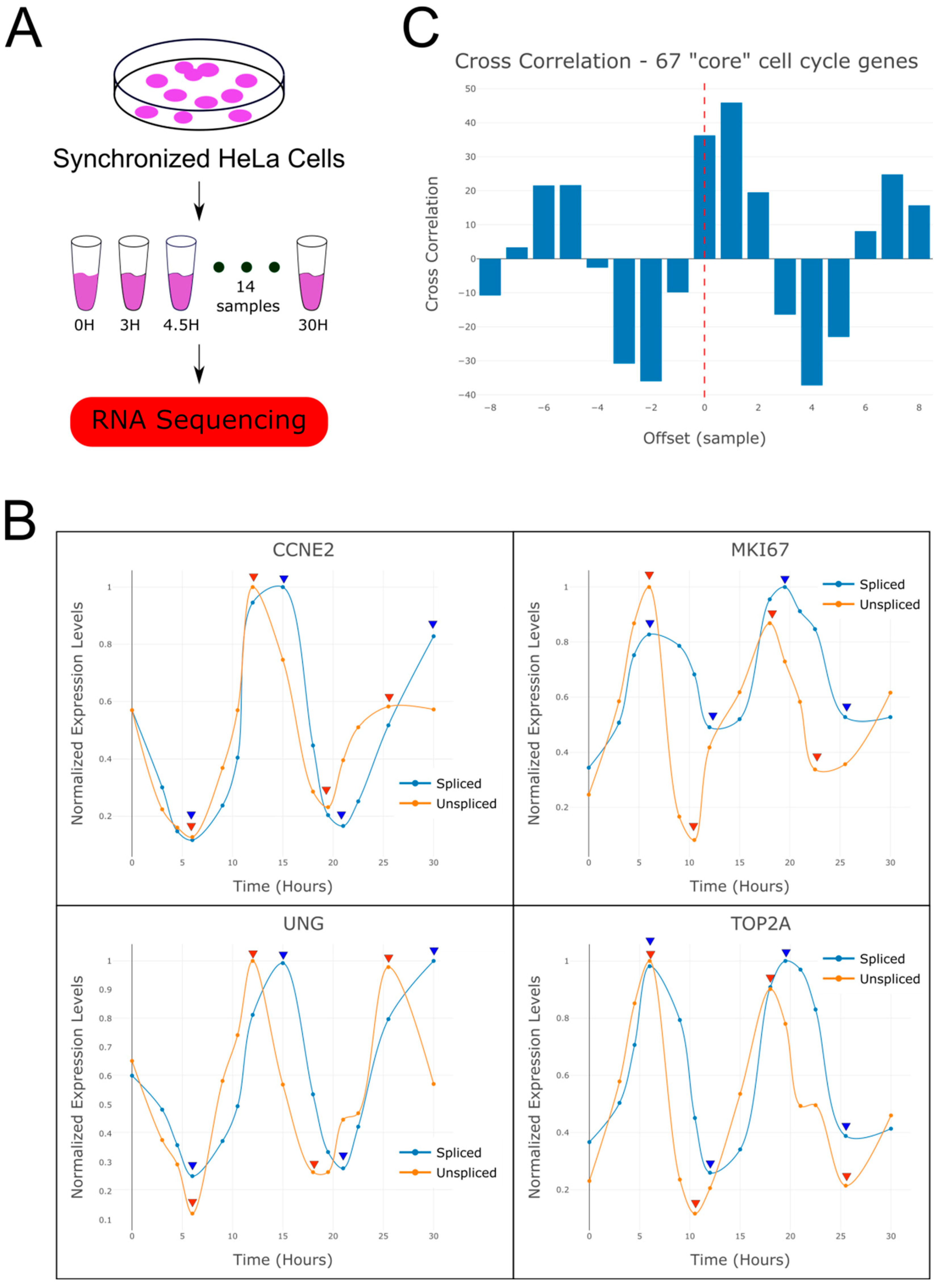 Ijms 26 09491 g001 Ijms 26 09491 g001