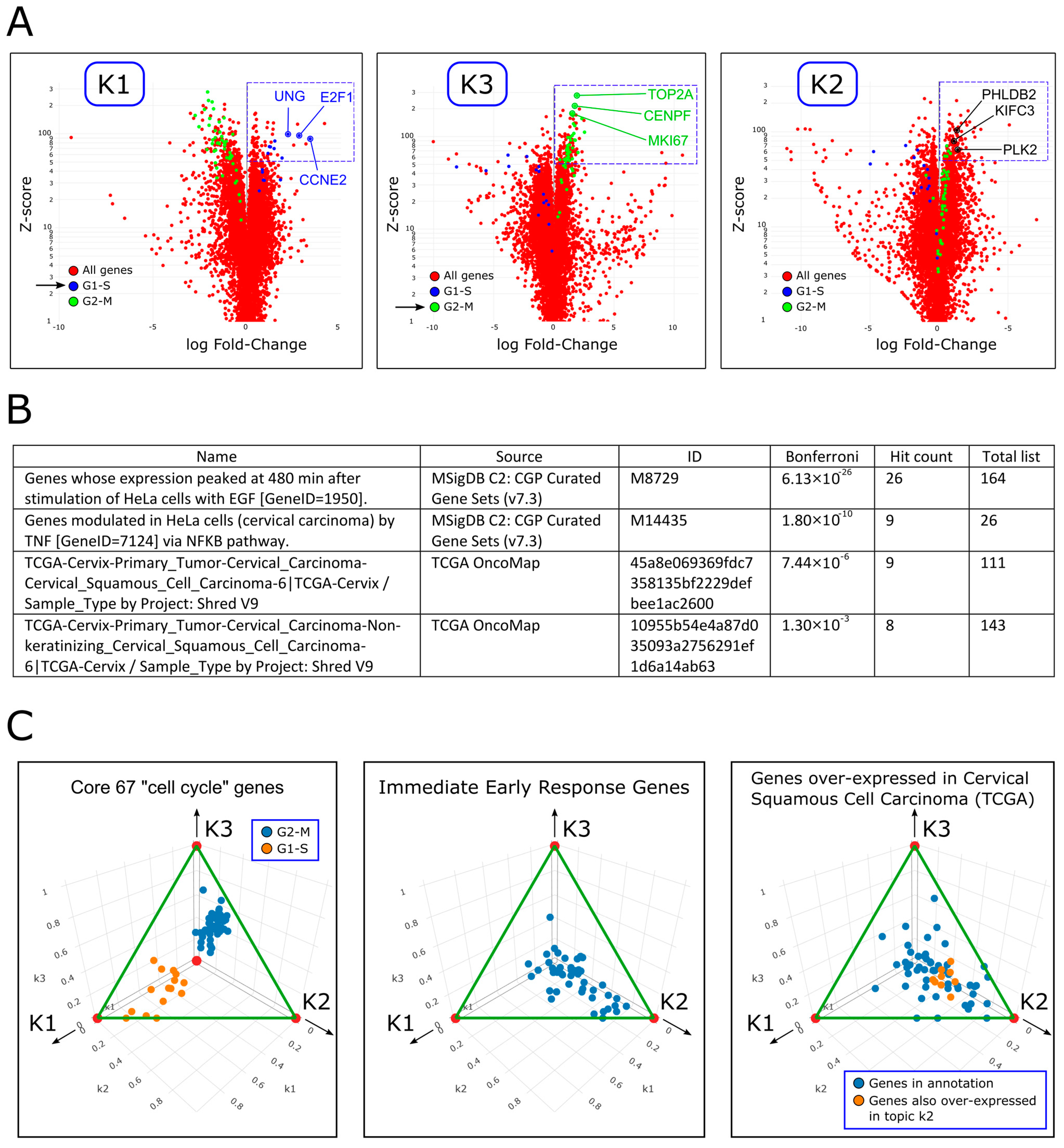 Ijms 26 09491 g004 Ijms 26 09491 g004