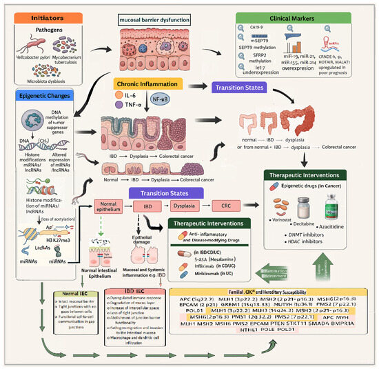 Integrating Inflammatory and Epigenetic Signatures in IBD