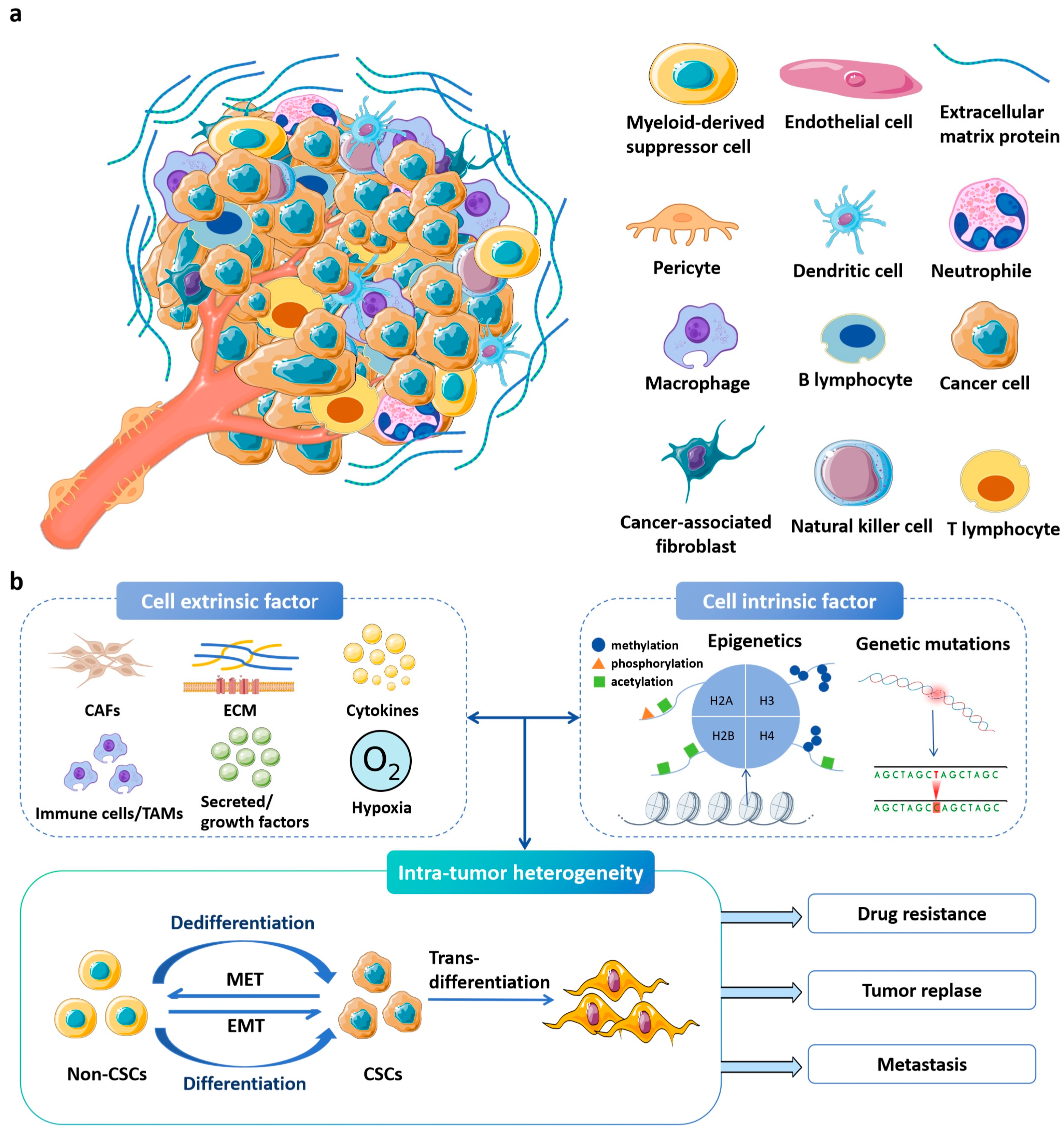 Ijms 26 09502 g001 Ijms 26 09502 g001