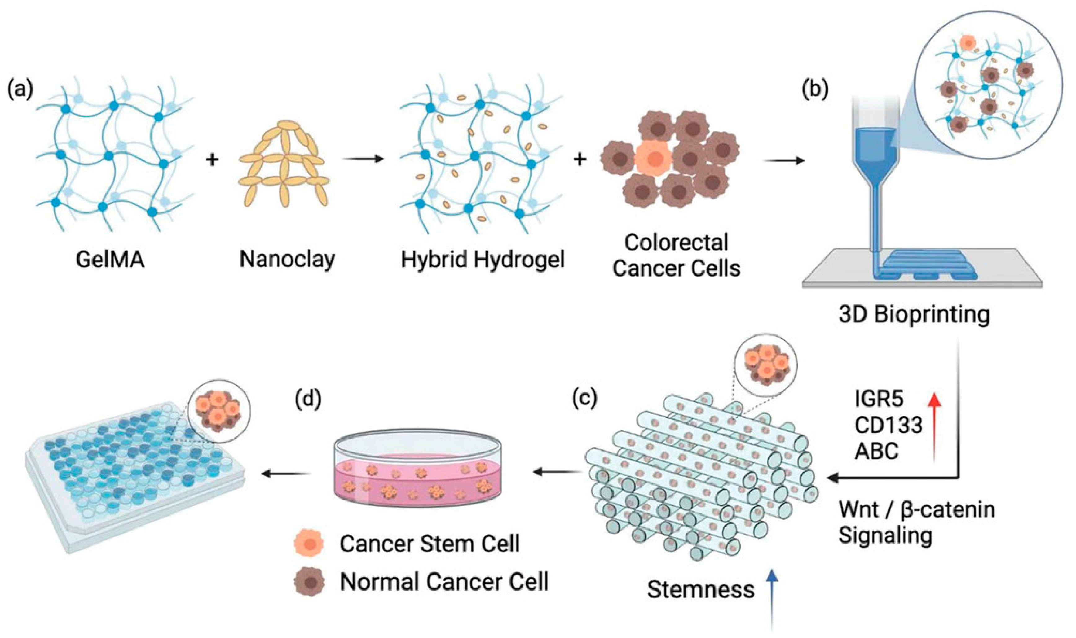 Ijms 26 09502 g002 Ijms 26 09502 g002