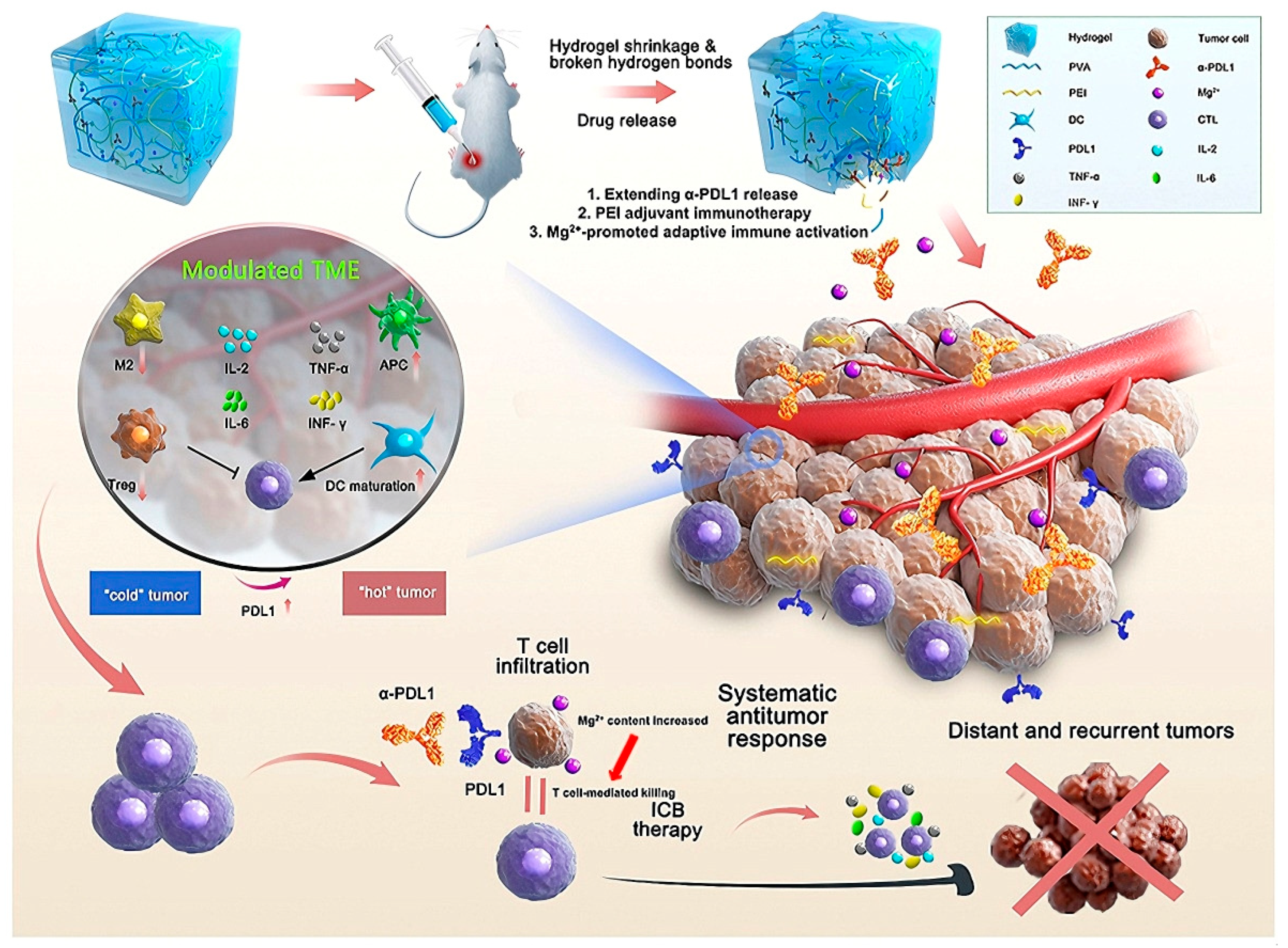 Ijms 26 09502 g003 Ijms 26 09502 g003
