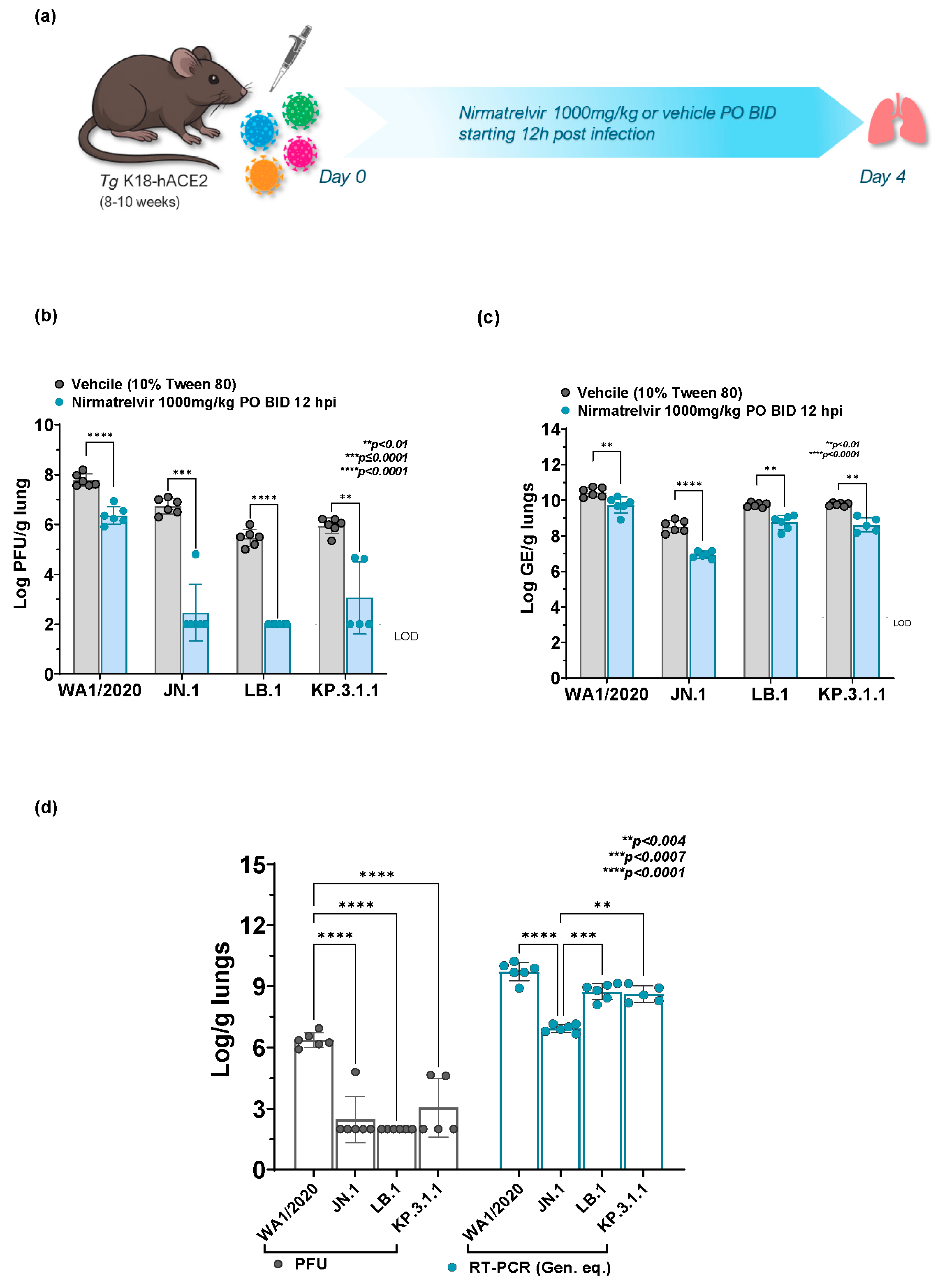 Ijms 26 09509 g002 Ijms 26 09509 g002
