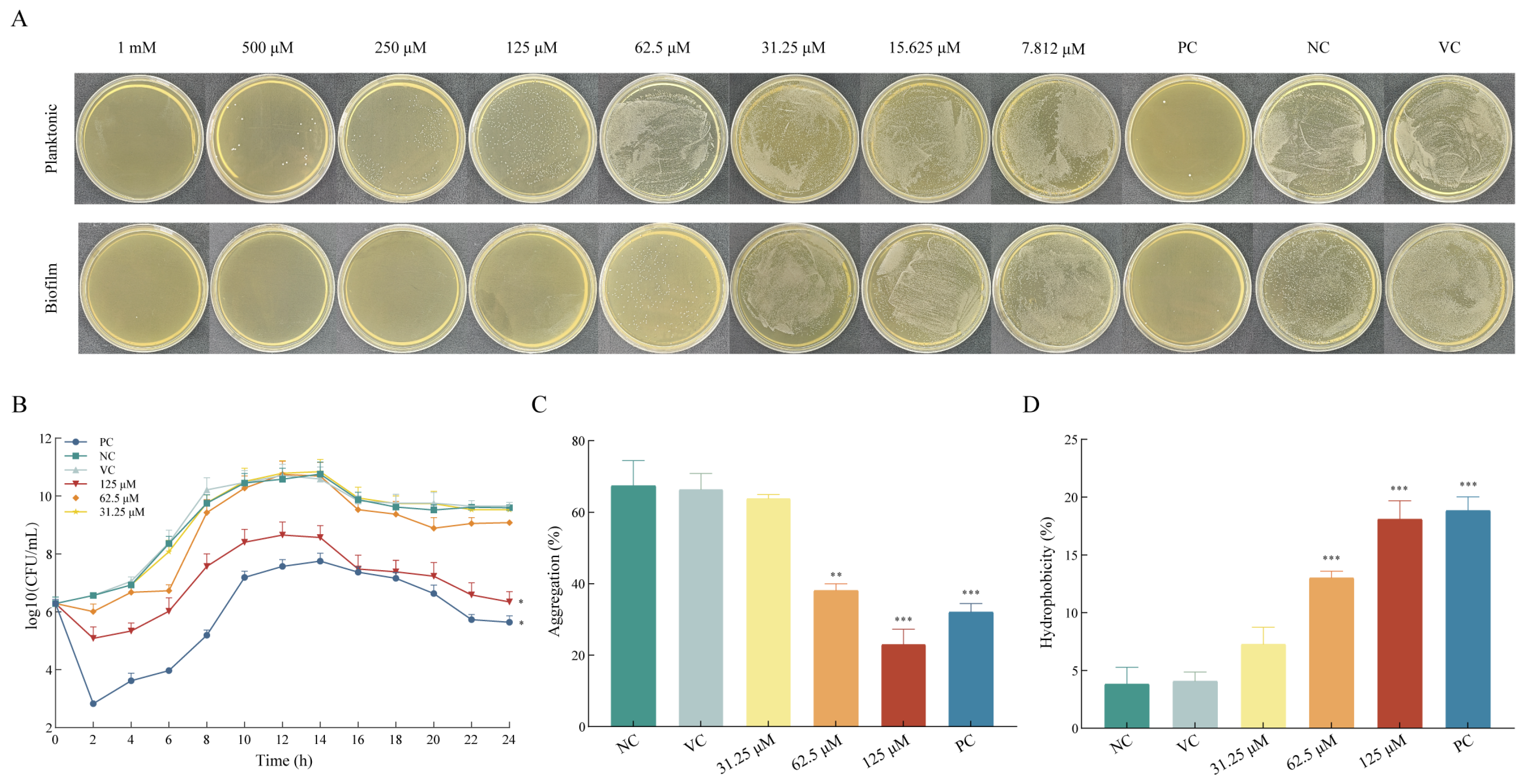 Ijms 26 09510 g001 Ijms 26 09510 g001