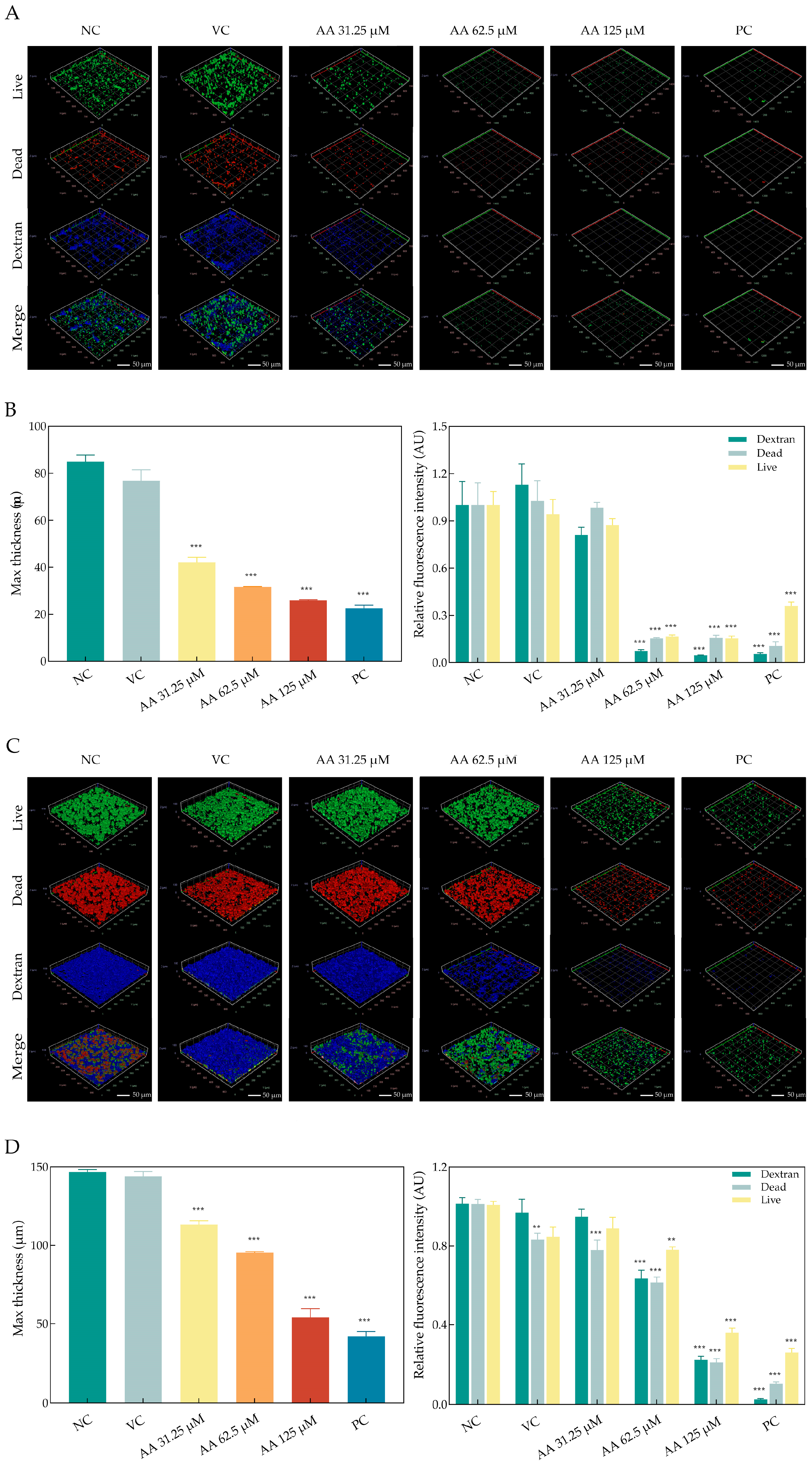 Ijms 26 09510 g004 Ijms 26 09510 g004
