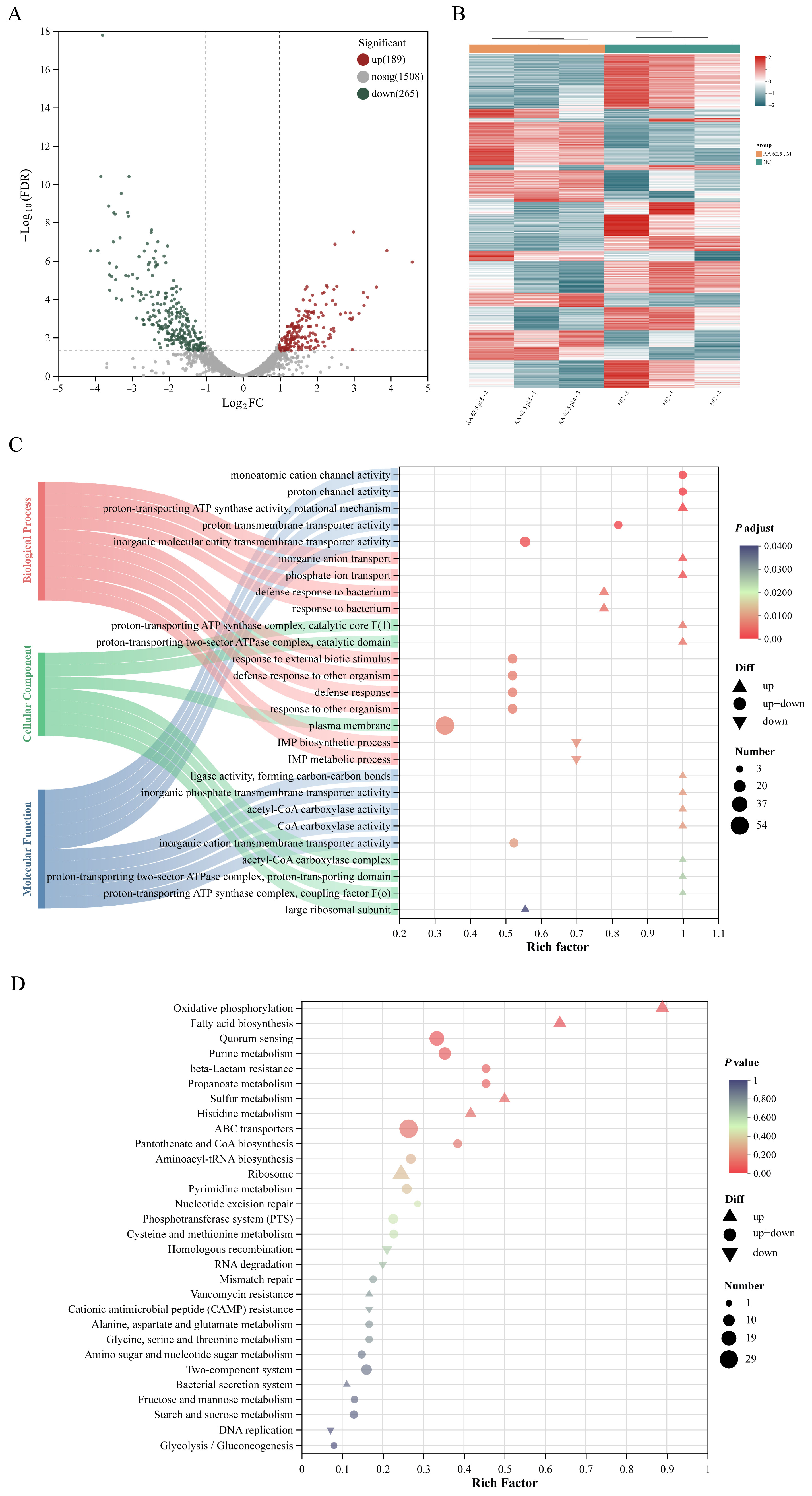 Ijms 26 09510 g005 Ijms 26 09510 g005