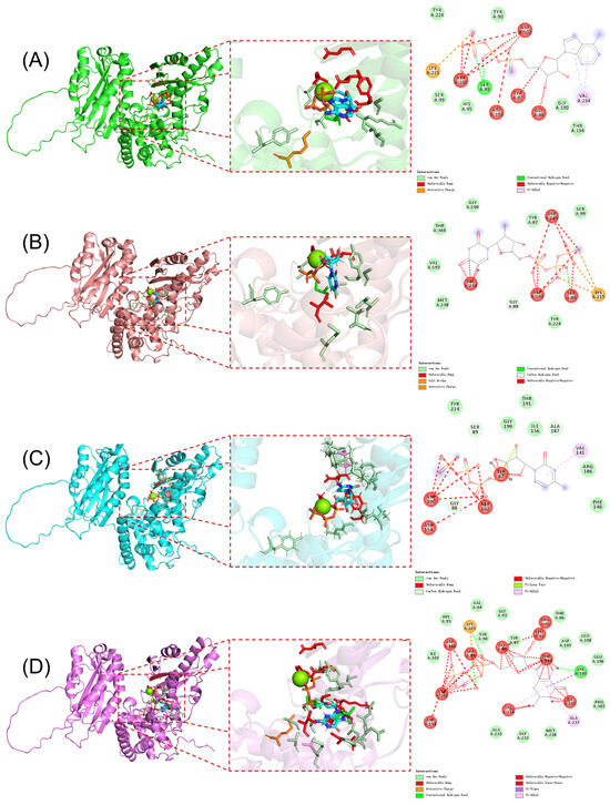 Investigation of the Substrate Selection Mechanism of Poly (A ...