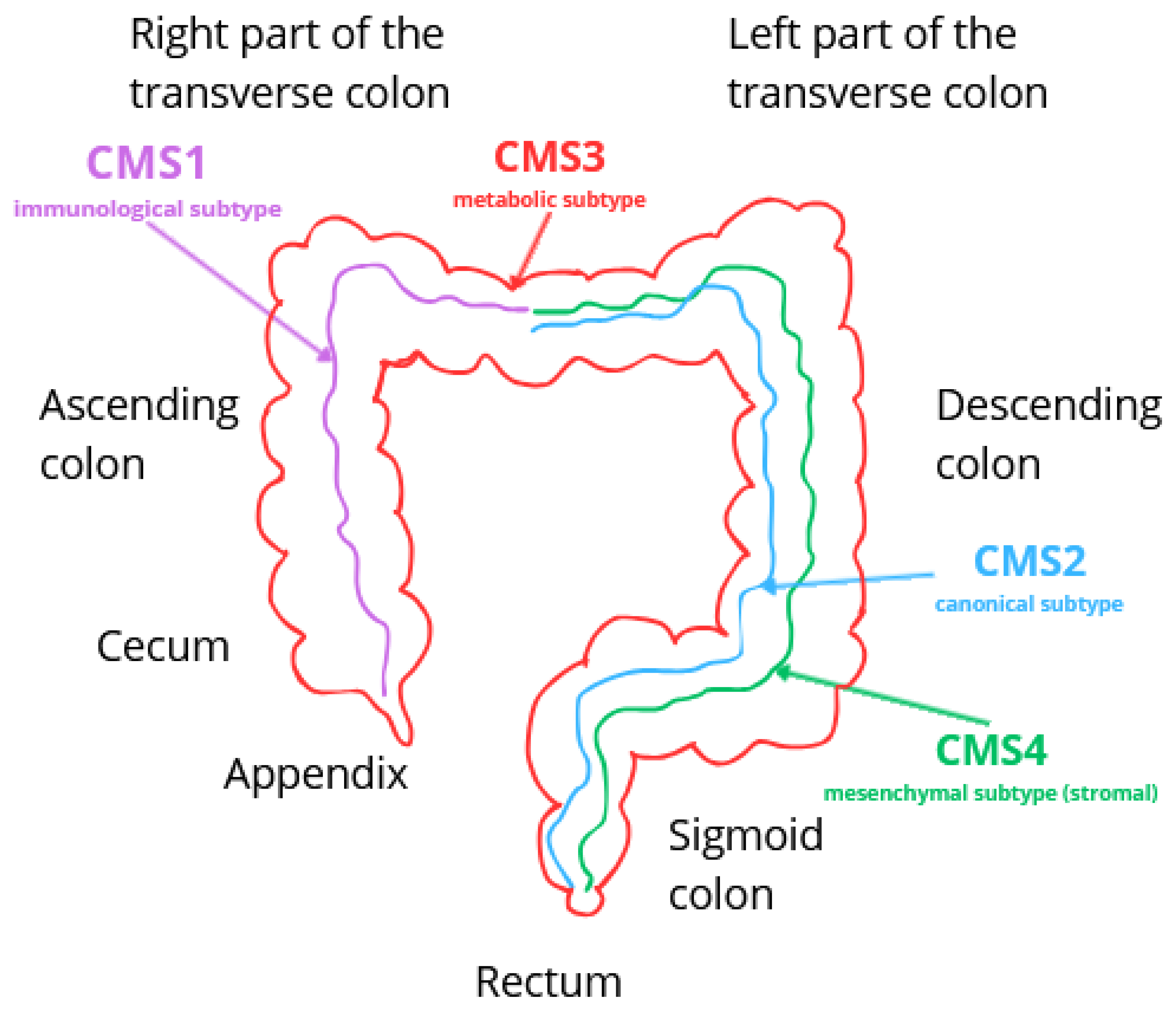 Ijms 26 09520 g003 Ijms 26 09520 g003