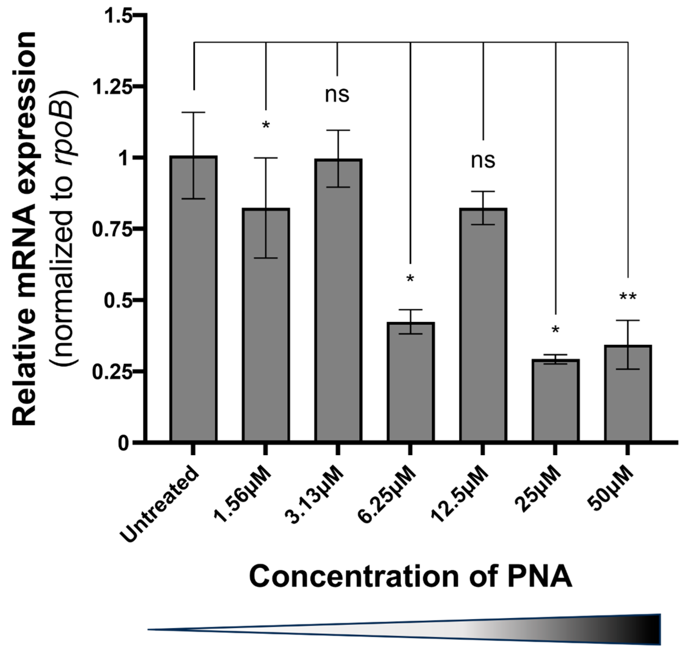 Ijms 26 09526 g001 Ijms 26 09526 g001
