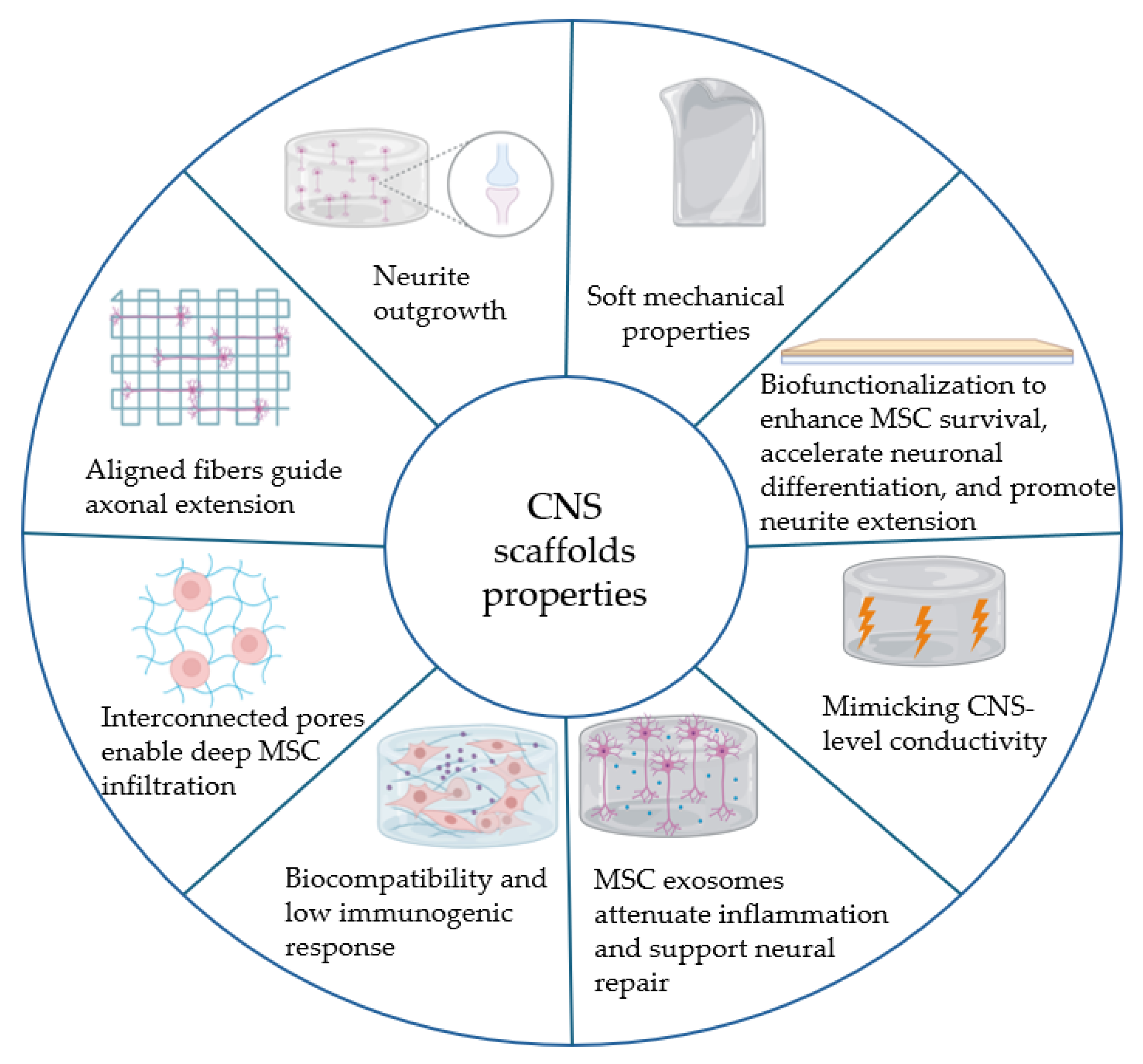Ijms 26 09528 g004 Ijms 26 09528 g004