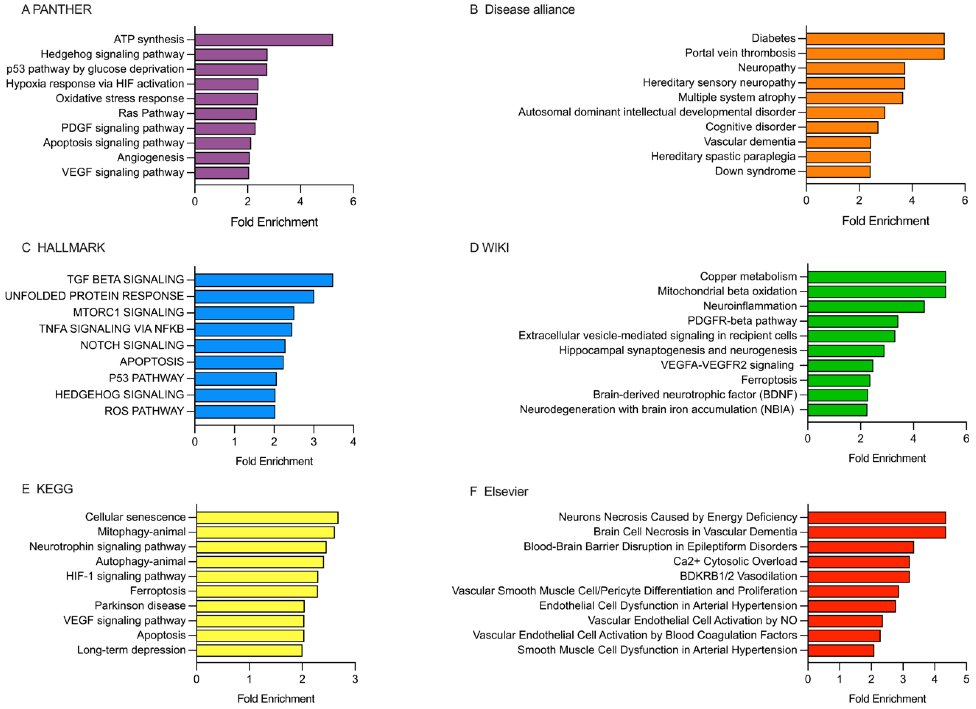 Ijms 26 09533 g005 Ijms 26 09533 g005