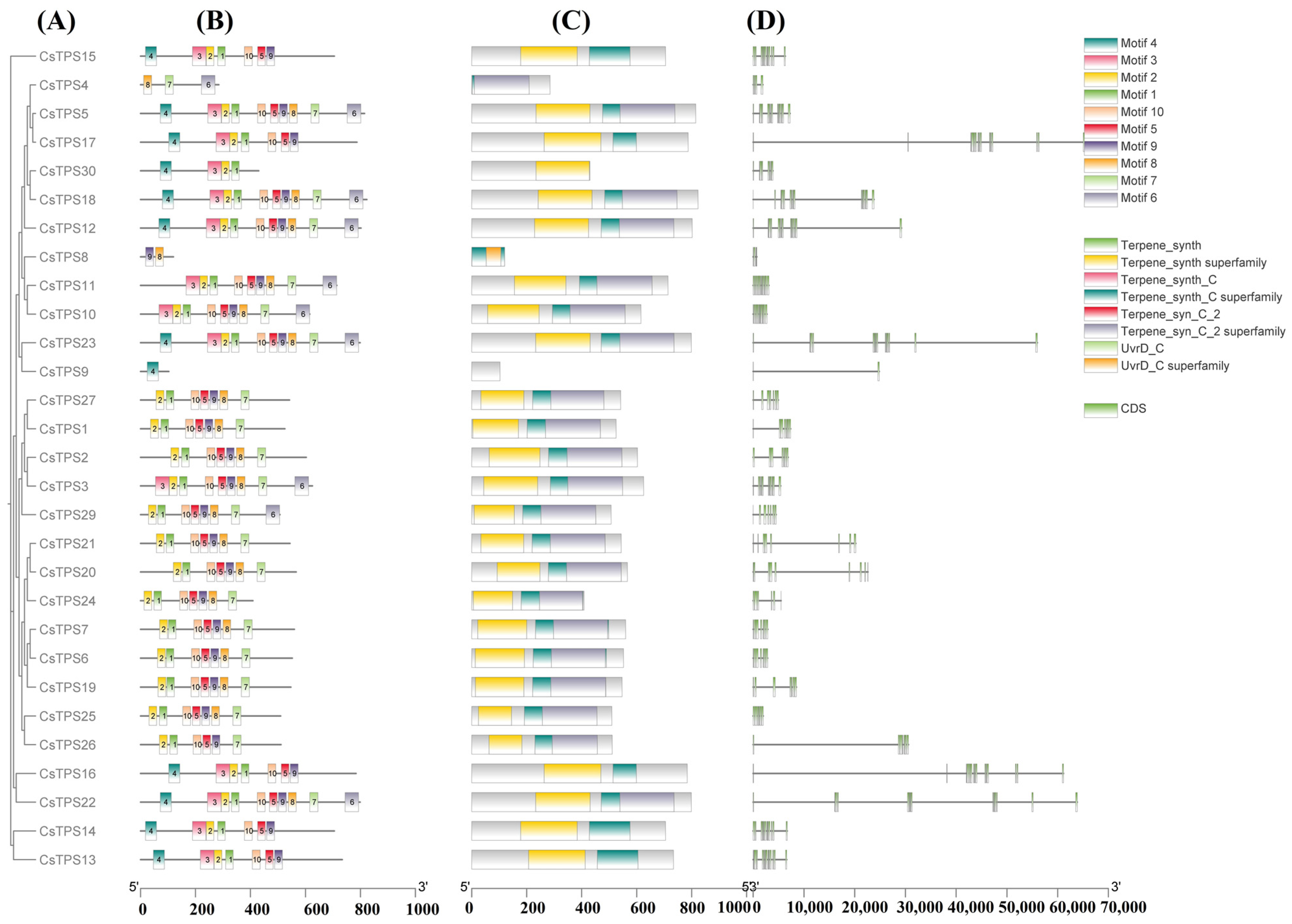 Ijms 26 09548 g001 Ijms 26 09548 g001