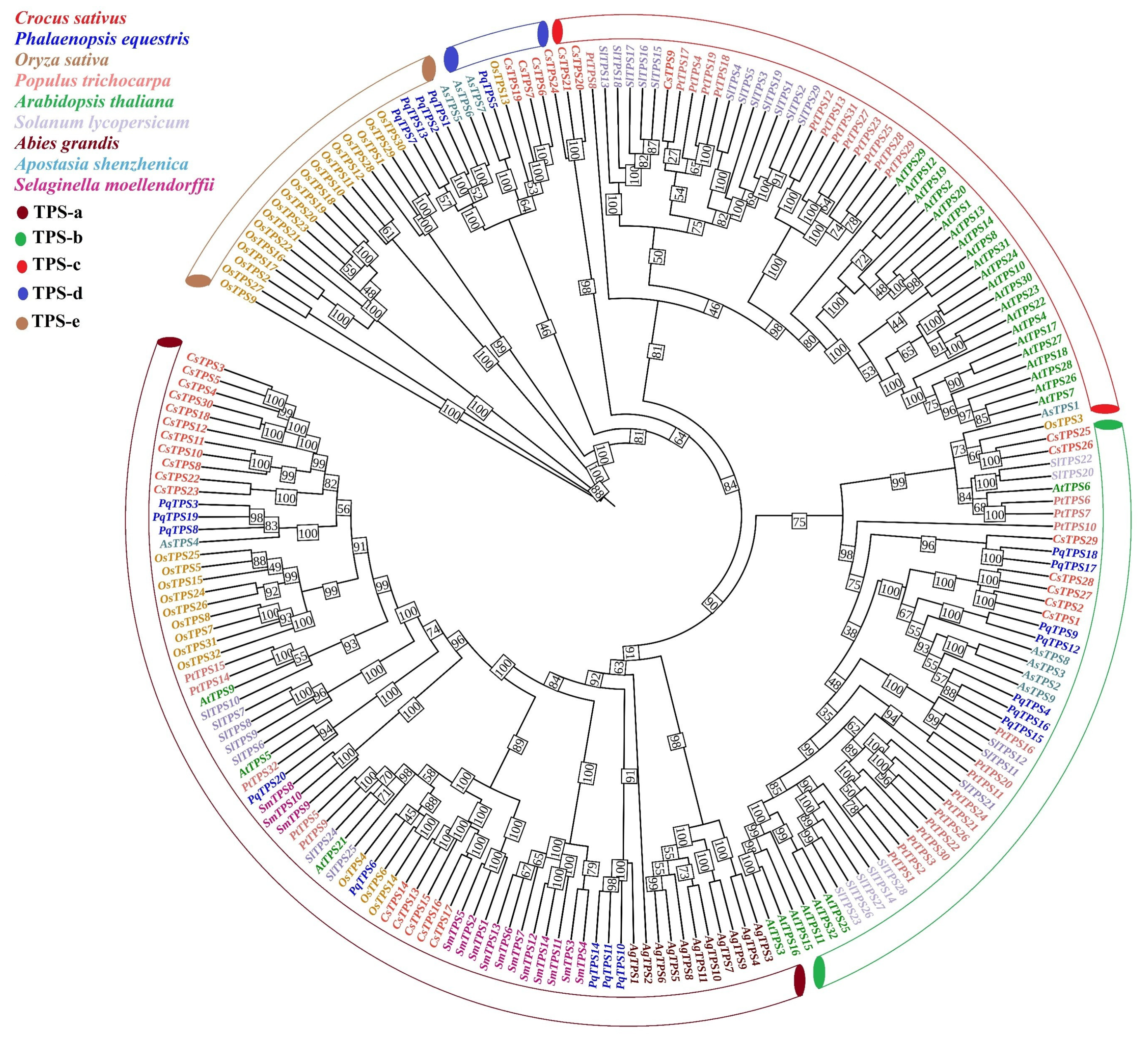 Ijms 26 09548 g003 Ijms 26 09548 g003