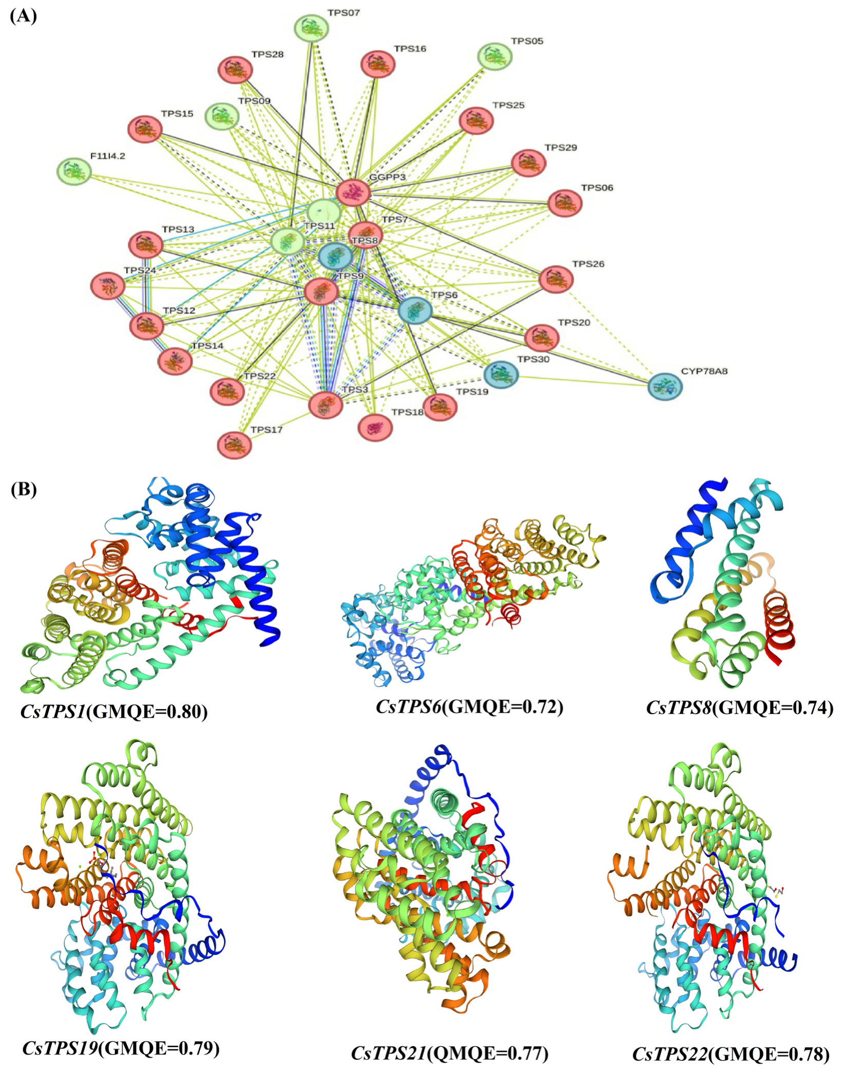 Ijms 26 09548 g004 Ijms 26 09548 g004