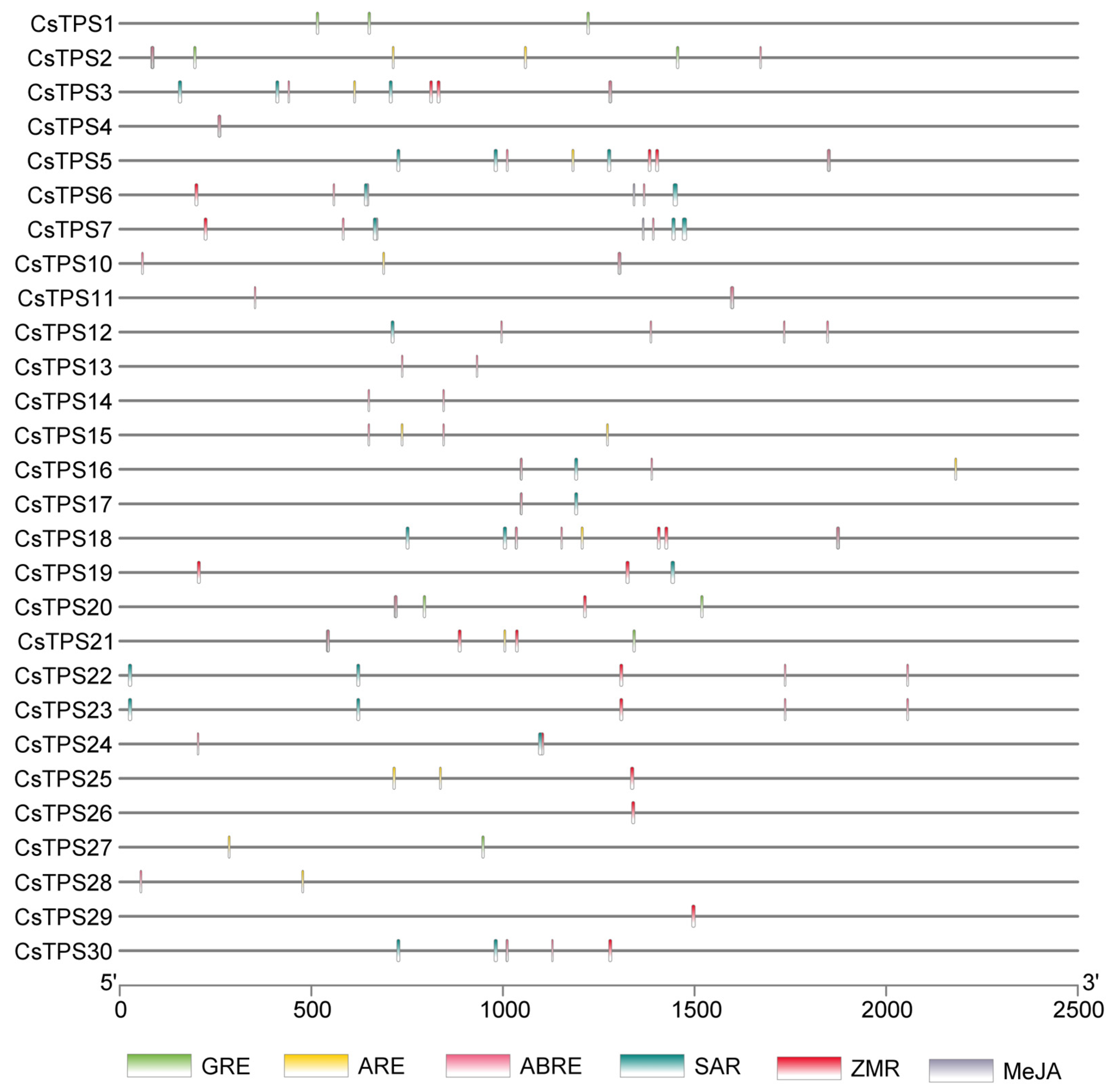Ijms 26 09548 g006 Ijms 26 09548 g006
