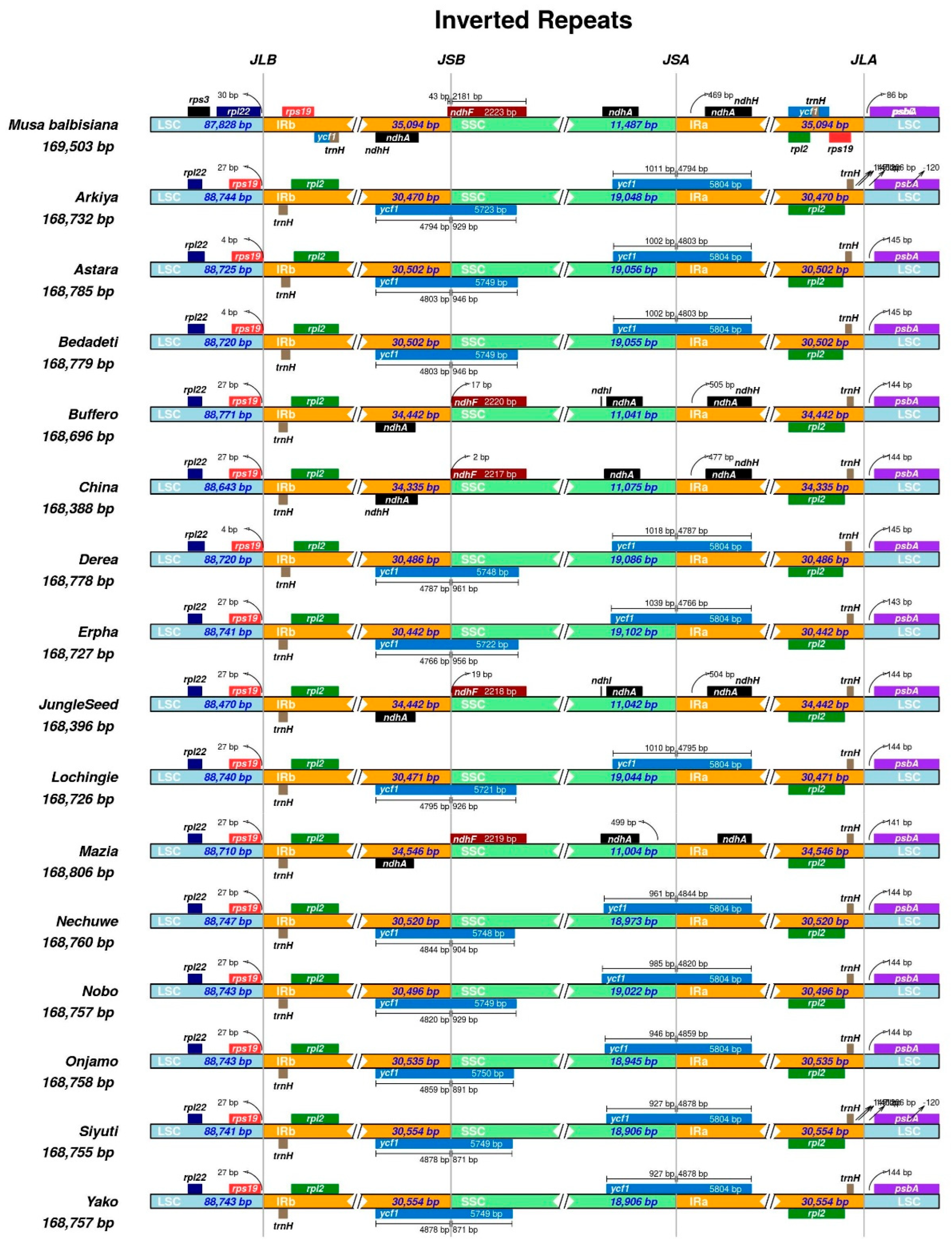 Ijms 26 09561 g003 Ijms 26 09561 g003