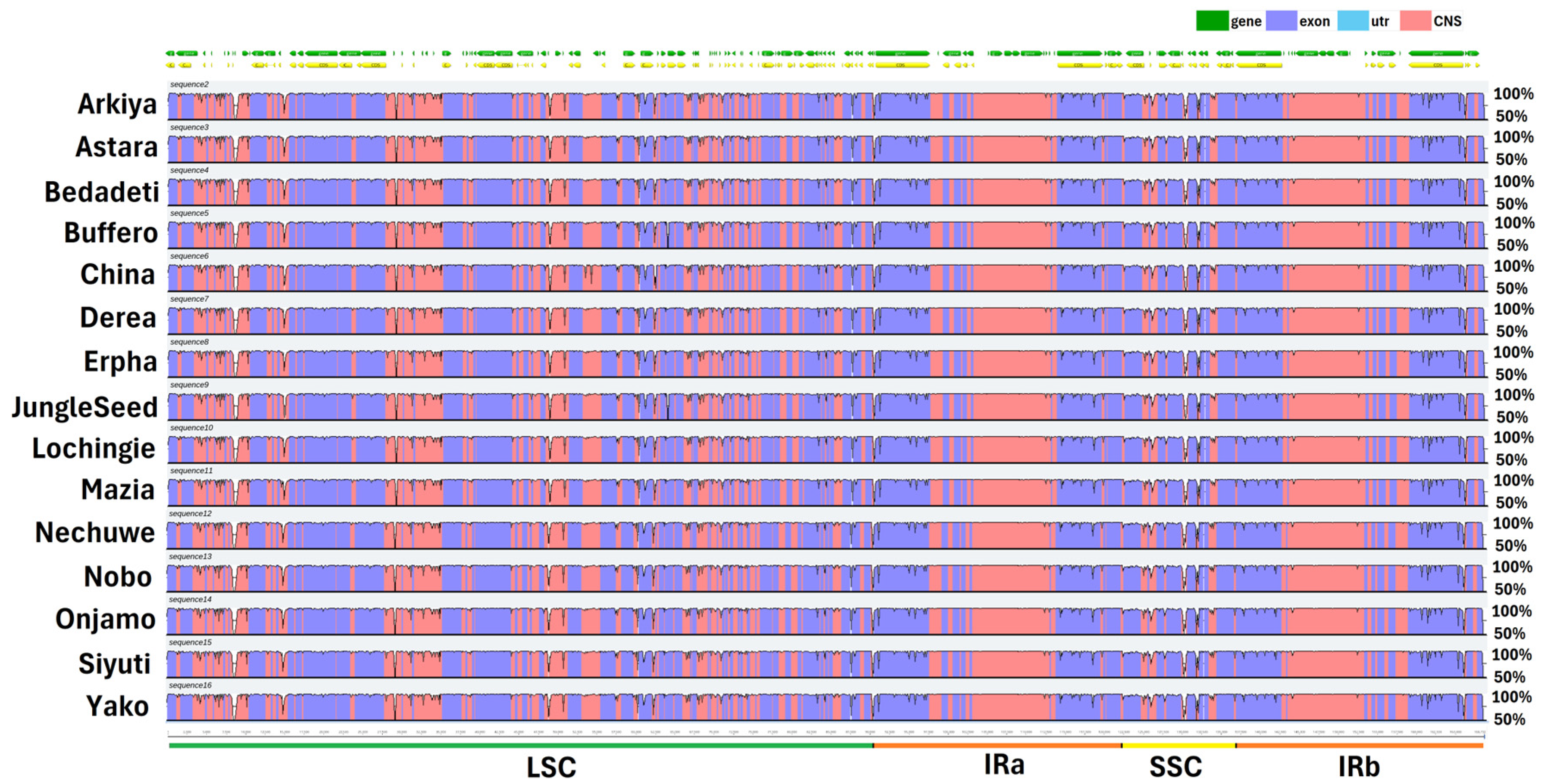 Ijms 26 09561 g004 Ijms 26 09561 g004