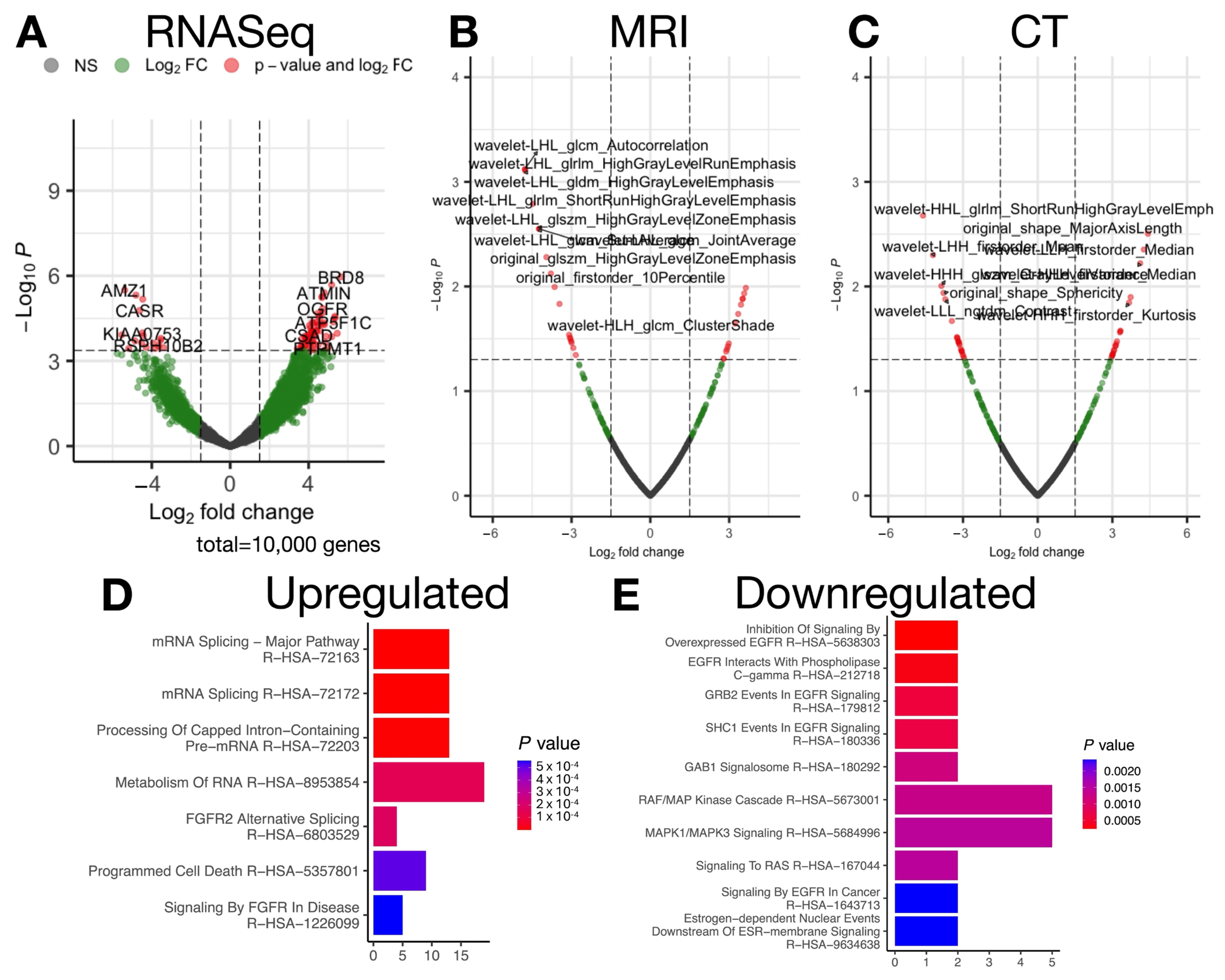 Ijms 26 09570 g002 Ijms 26 09570 g002