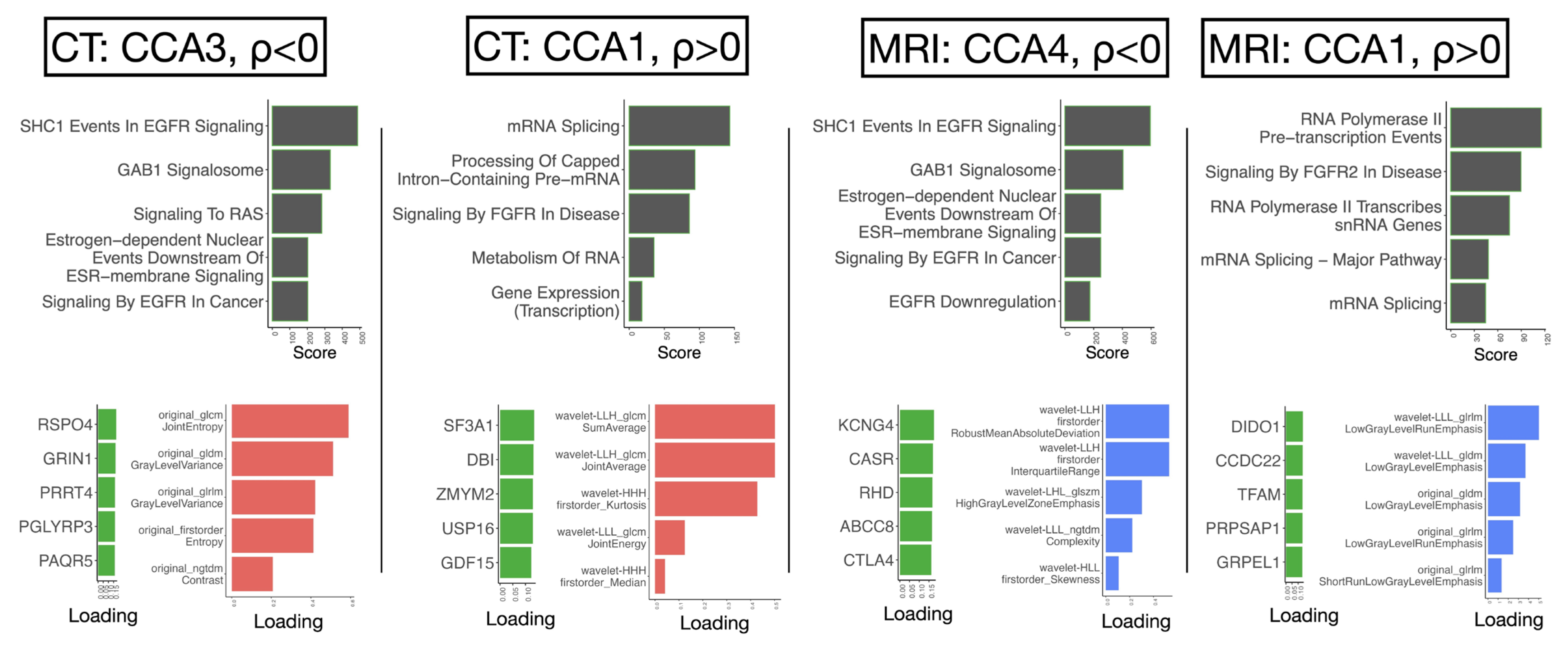 Ijms 26 09570 g003 Ijms 26 09570 g003