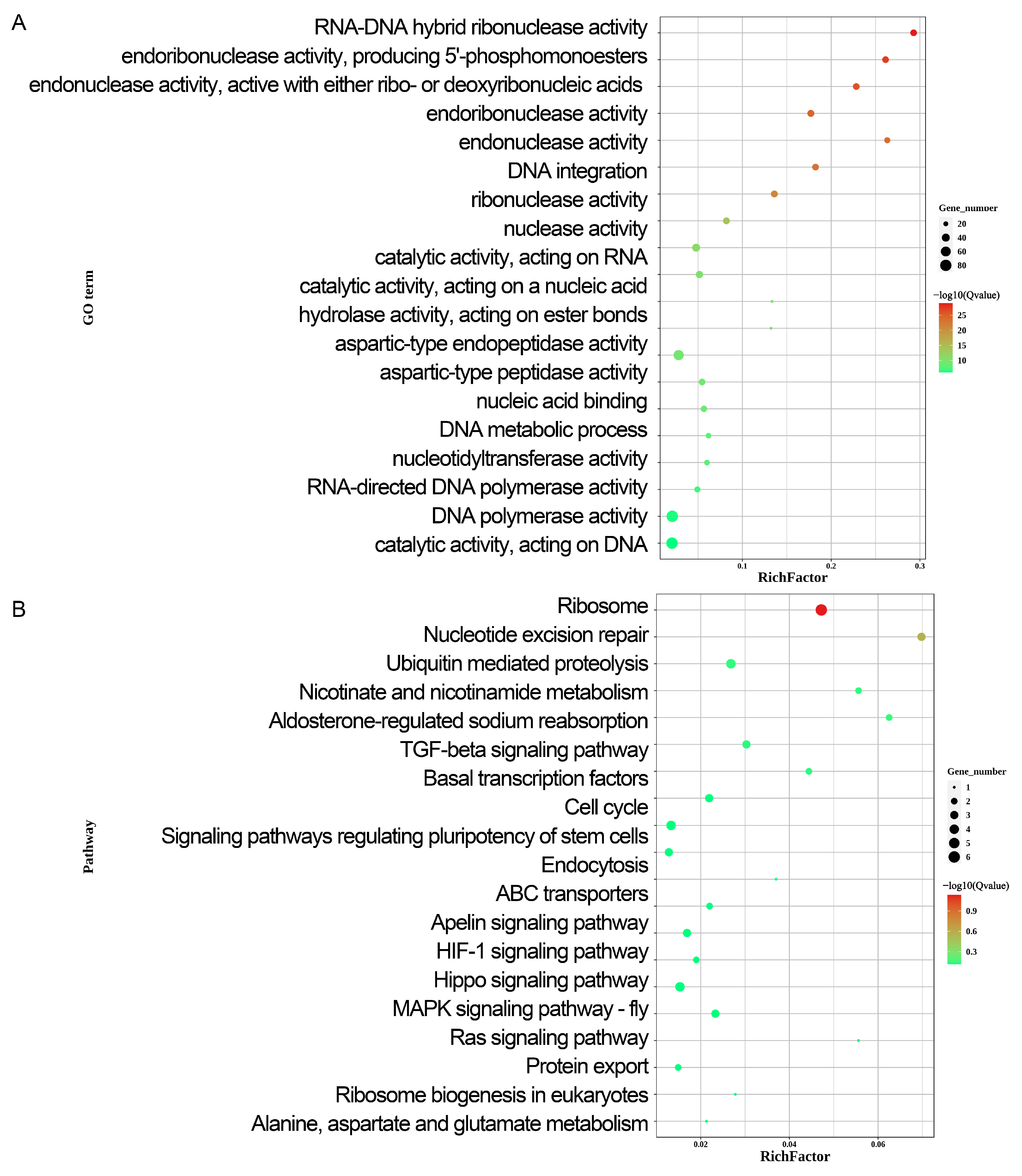 Ijms 26 09575 g002 Ijms 26 09575 g002