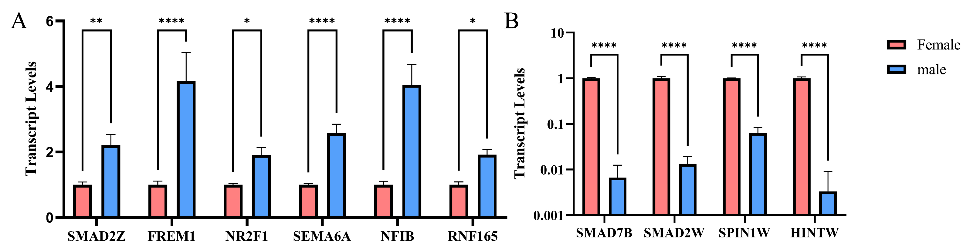 Ijms 26 09575 g003 Ijms 26 09575 g003