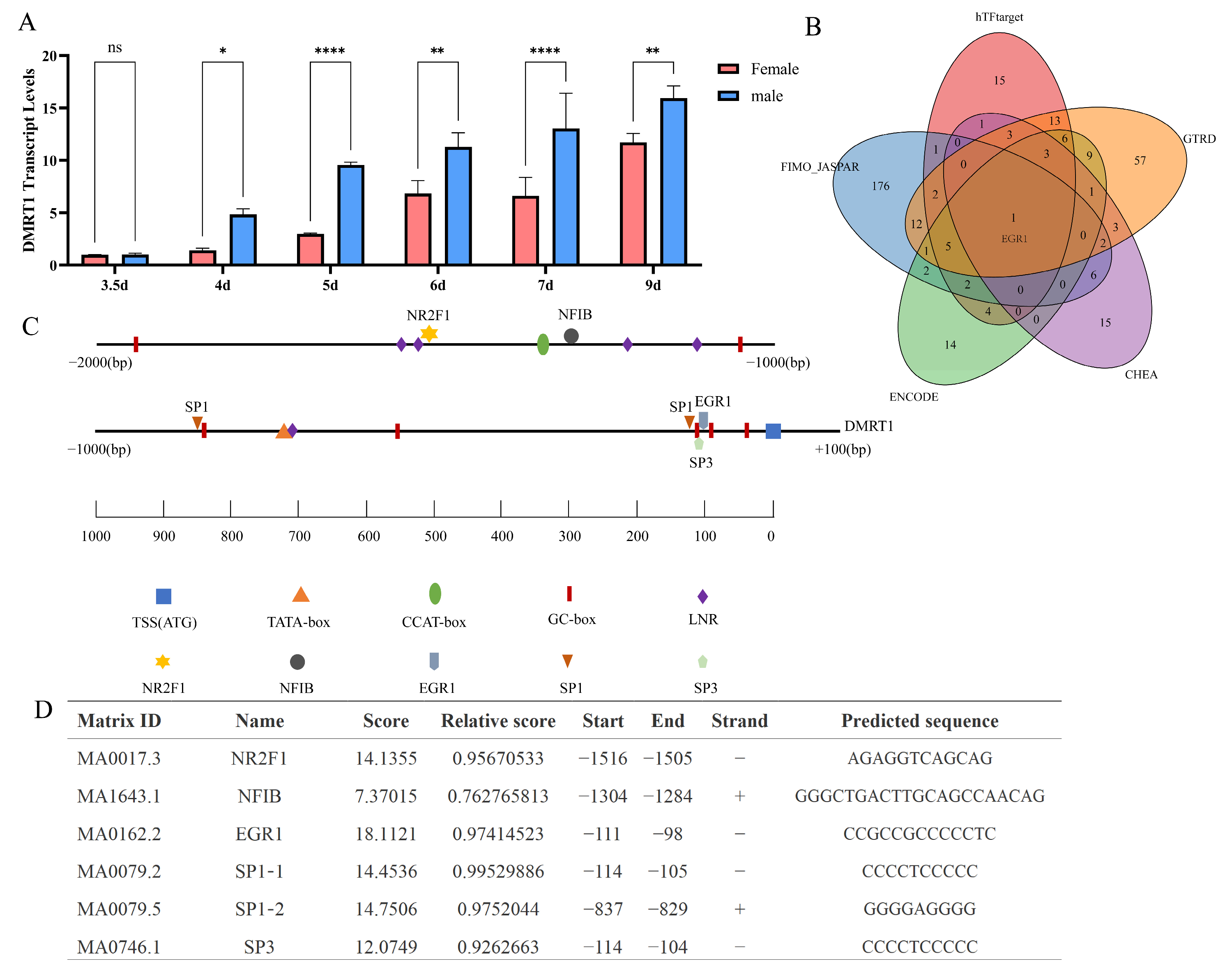 Ijms 26 09575 g004 Ijms 26 09575 g004