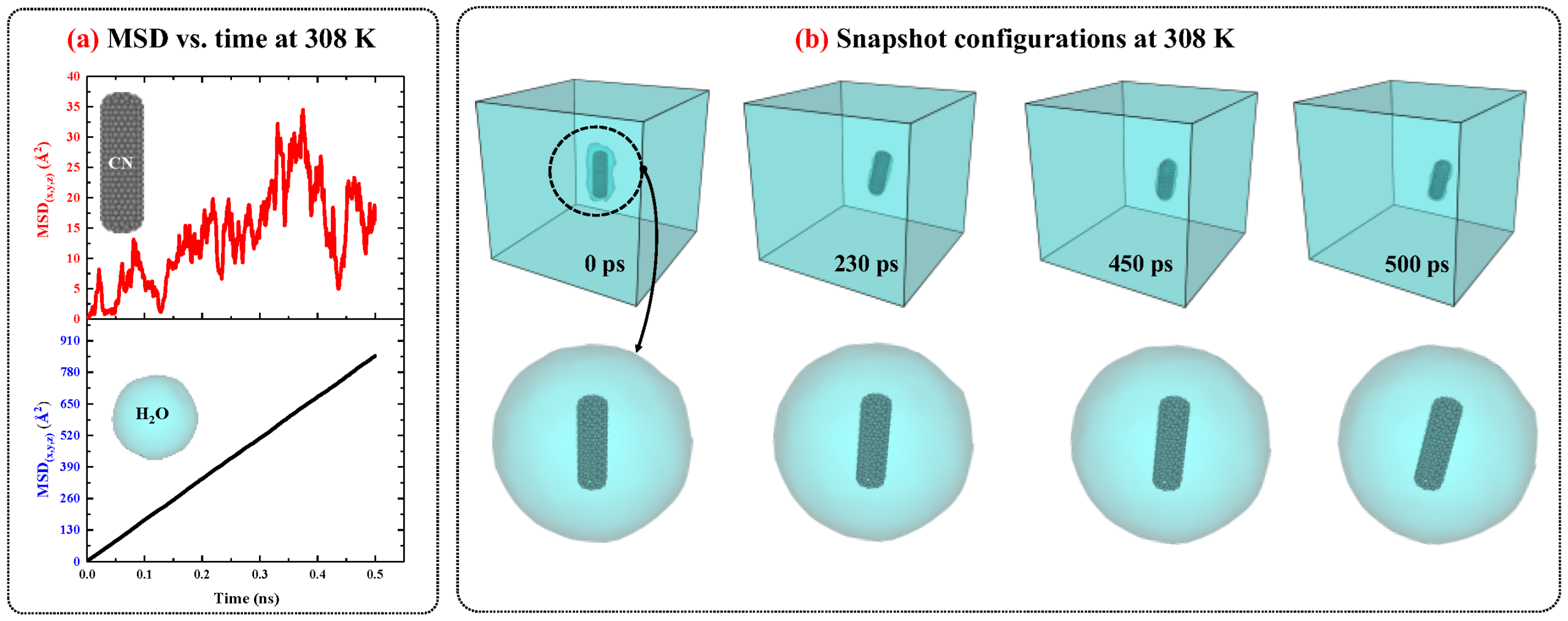 Ijms 26 09582 g001 Ijms 26 09582 g001