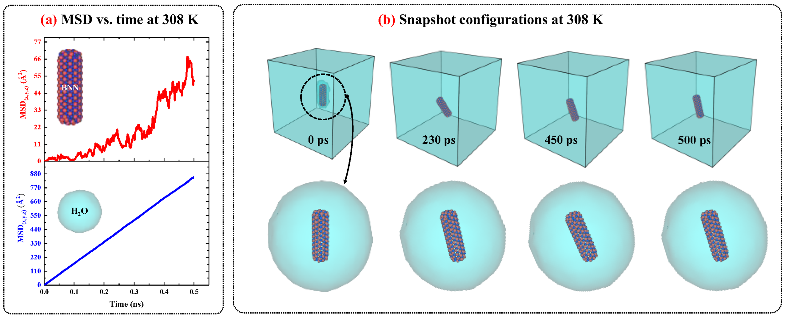 Ijms 26 09582 g003 Ijms 26 09582 g003