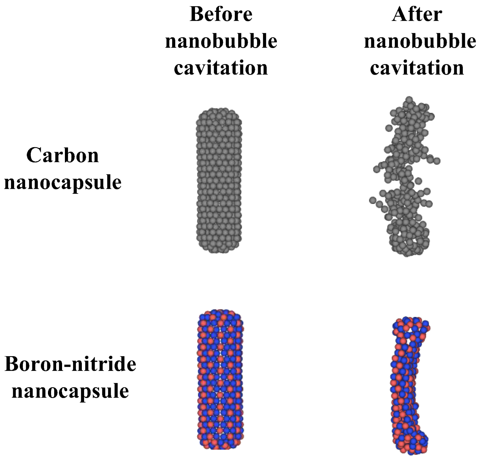 Ijms 26 09582 g008 Ijms 26 09582 g008