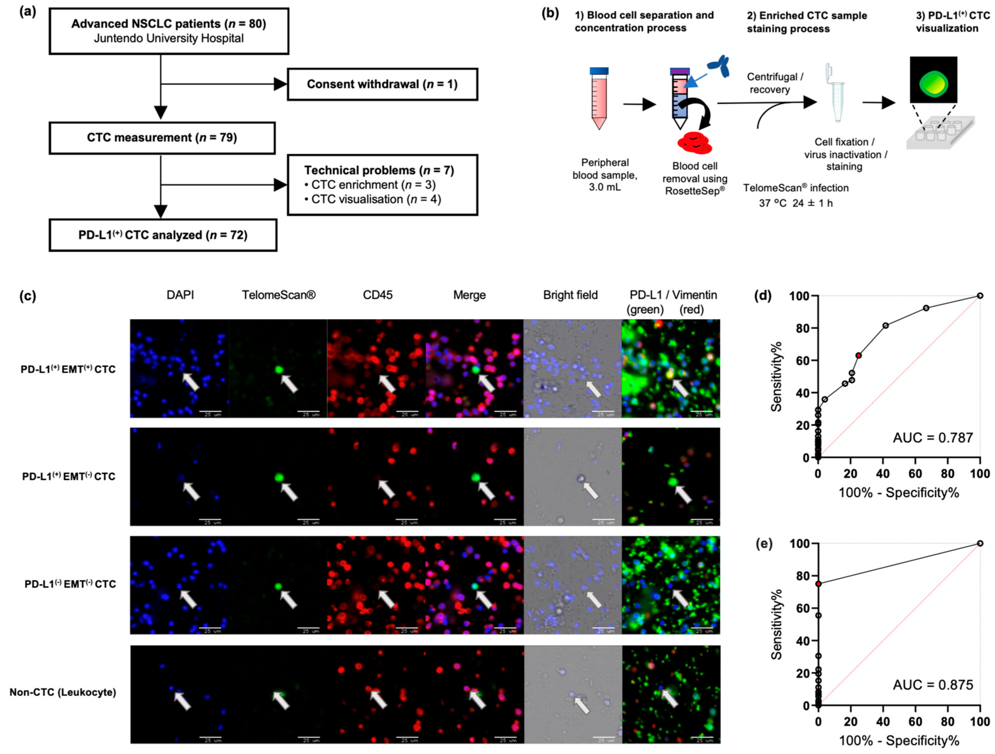 Ijms 26 09583 g001 Ijms 26 09583 g001