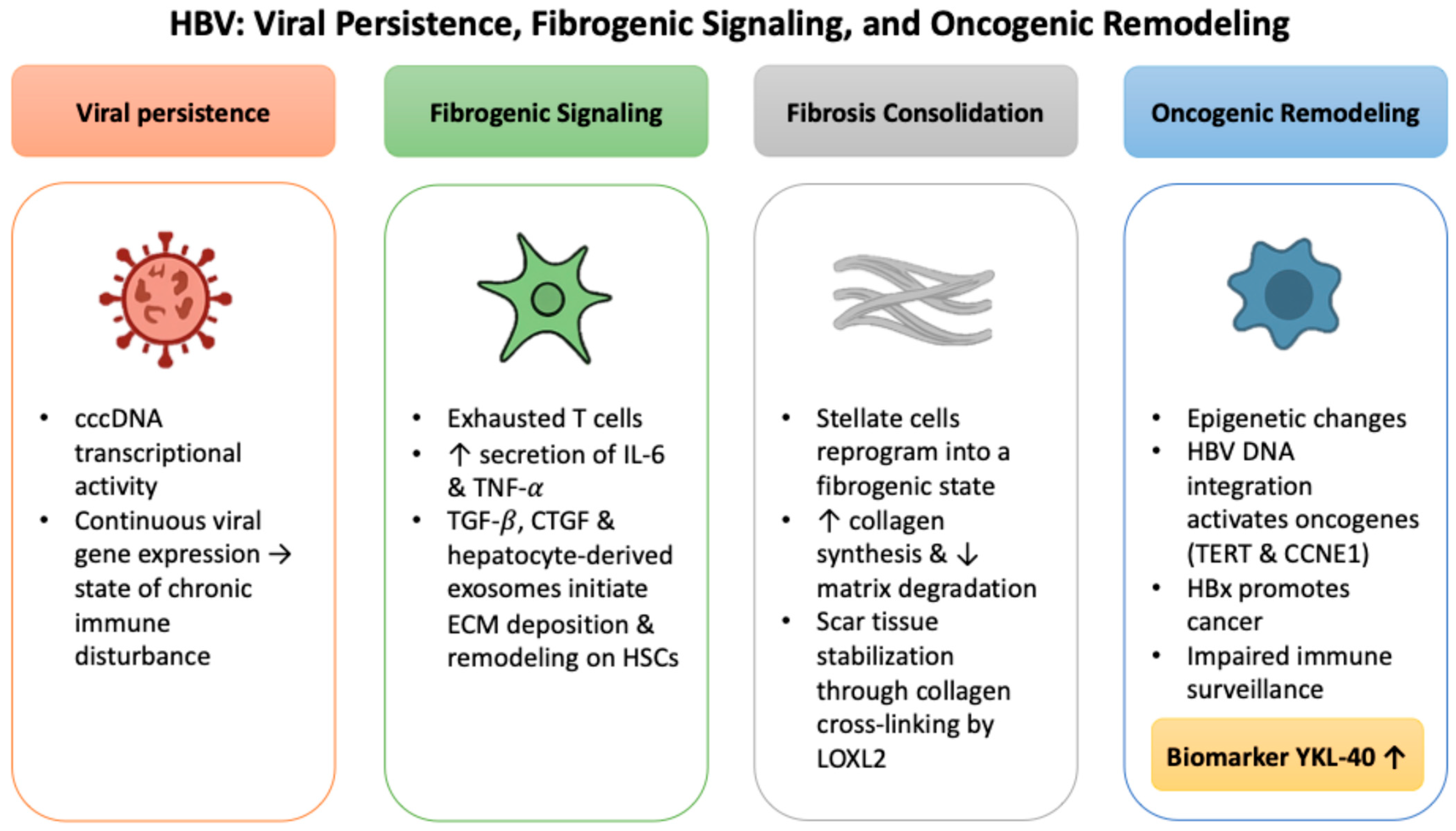 Ijms 26 09584 g001 Ijms 26 09584 g001