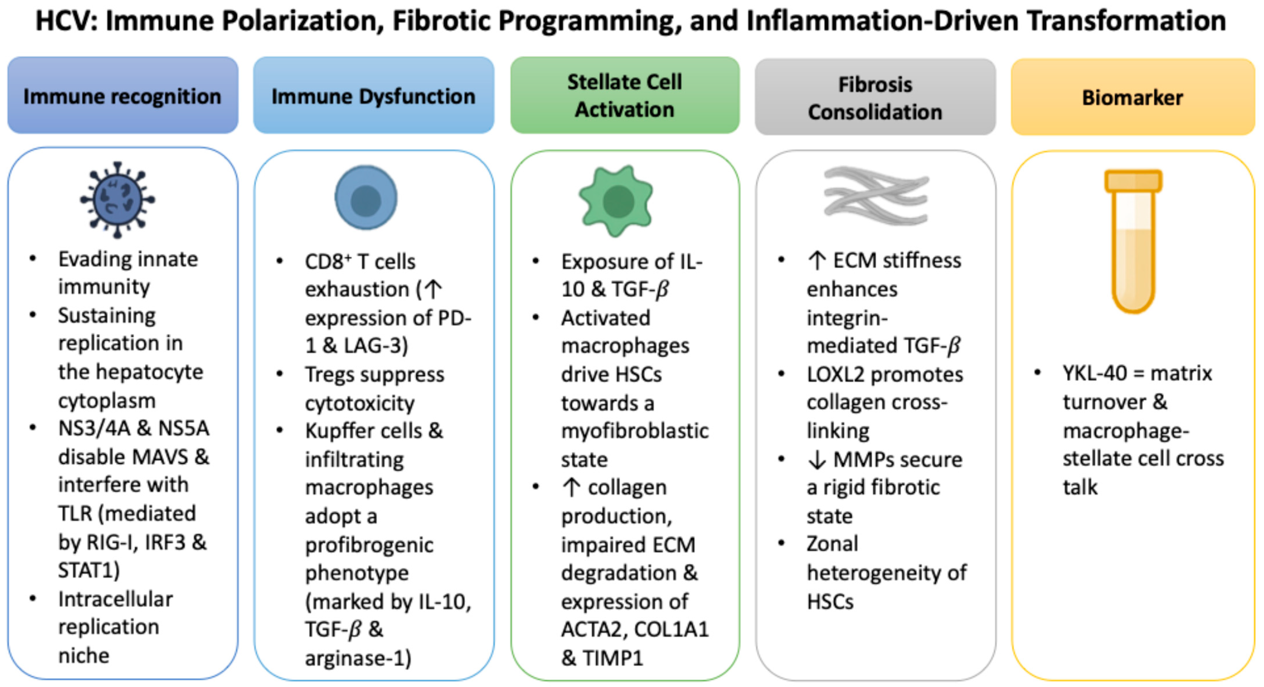 Ijms 26 09584 g002 Ijms 26 09584 g002