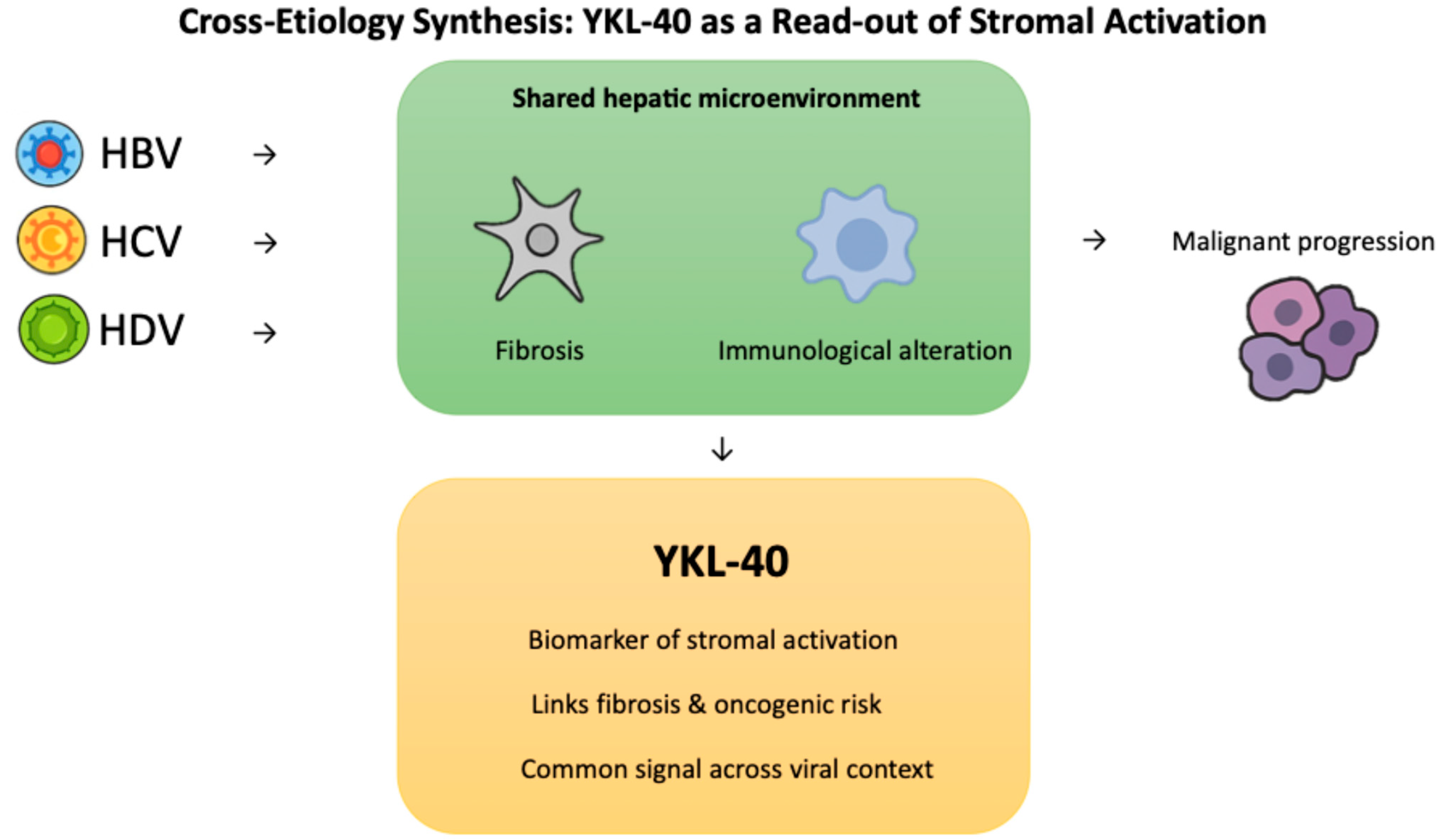 Ijms 26 09584 g004 Ijms 26 09584 g004