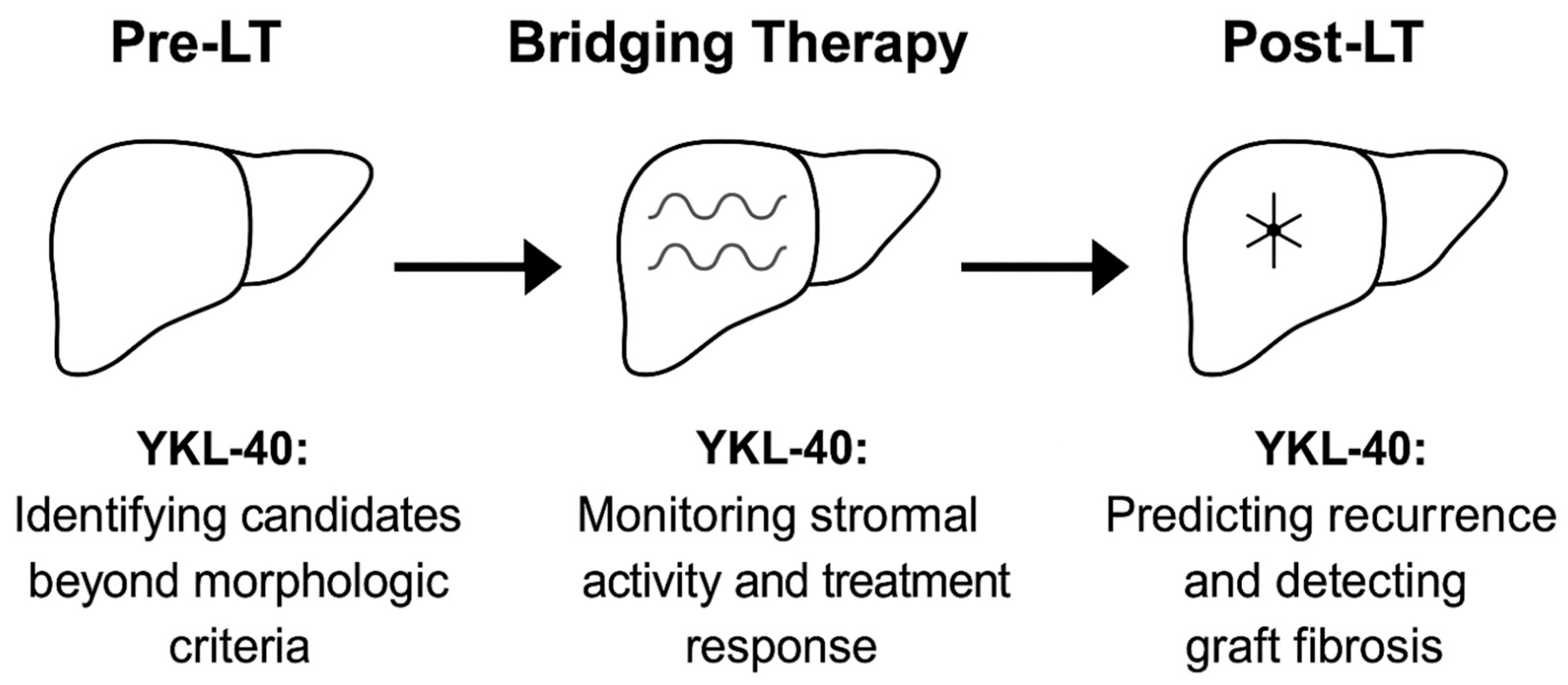 Ijms 26 09584 g006 Ijms 26 09584 g006