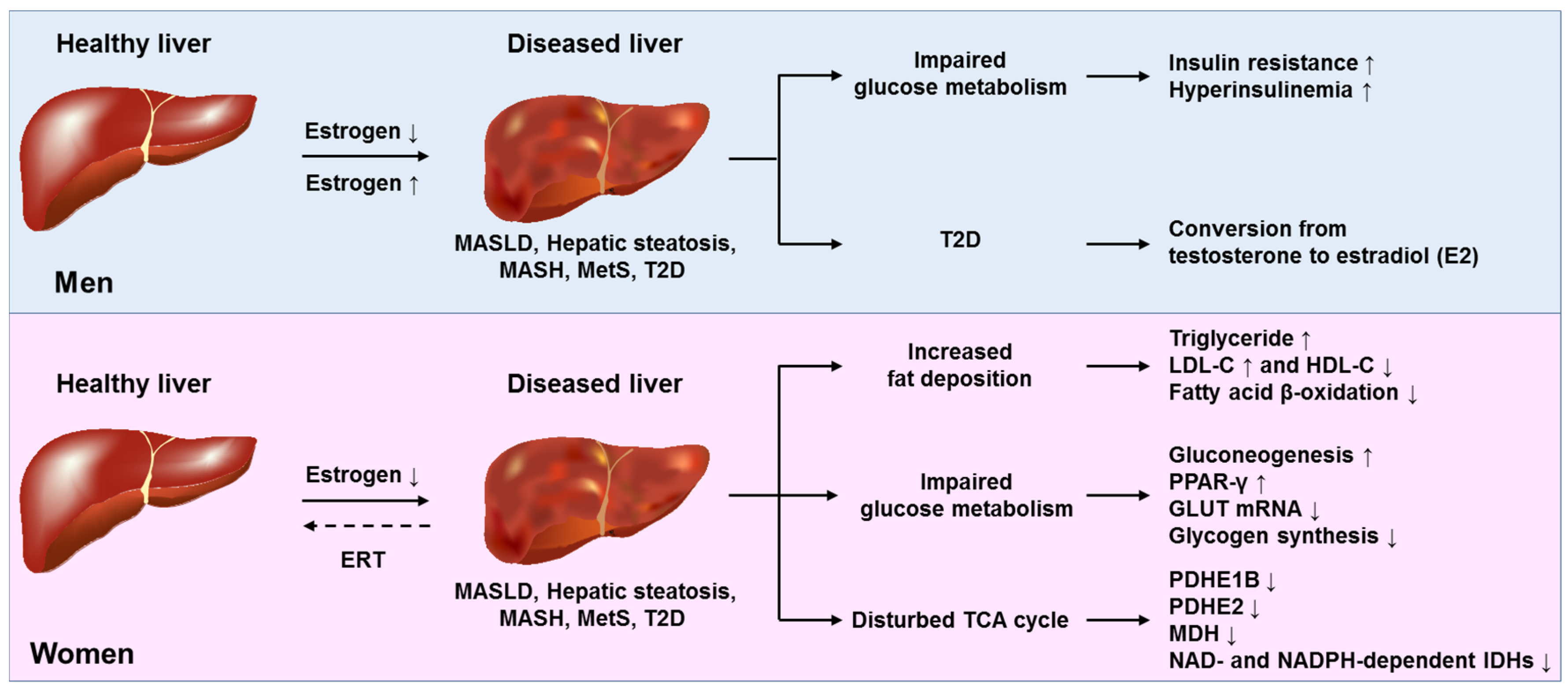 Ijms 26 09594 g004 Ijms 26 09594 g004