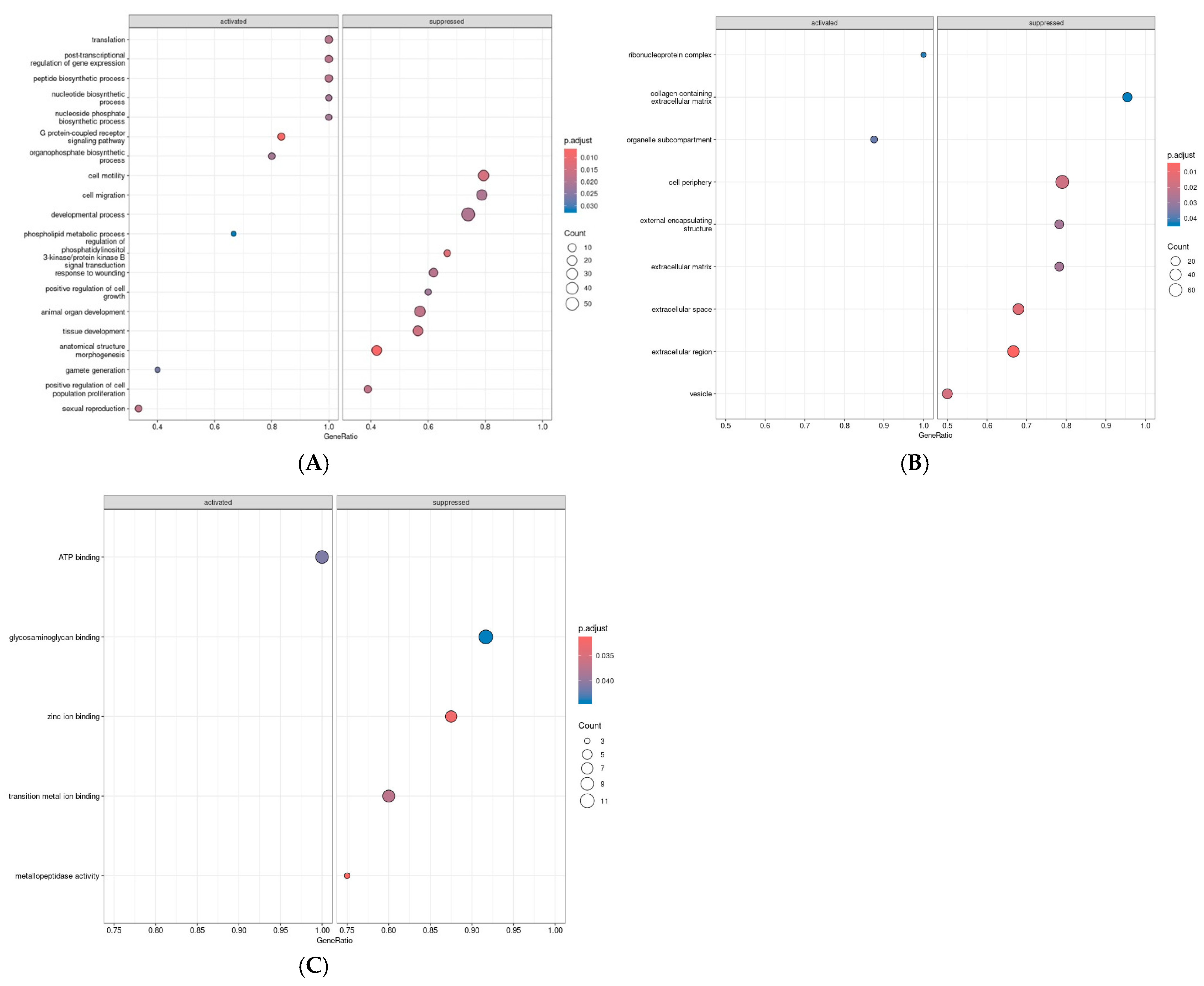 Ijms 26 09595 g003 Ijms 26 09595 g003