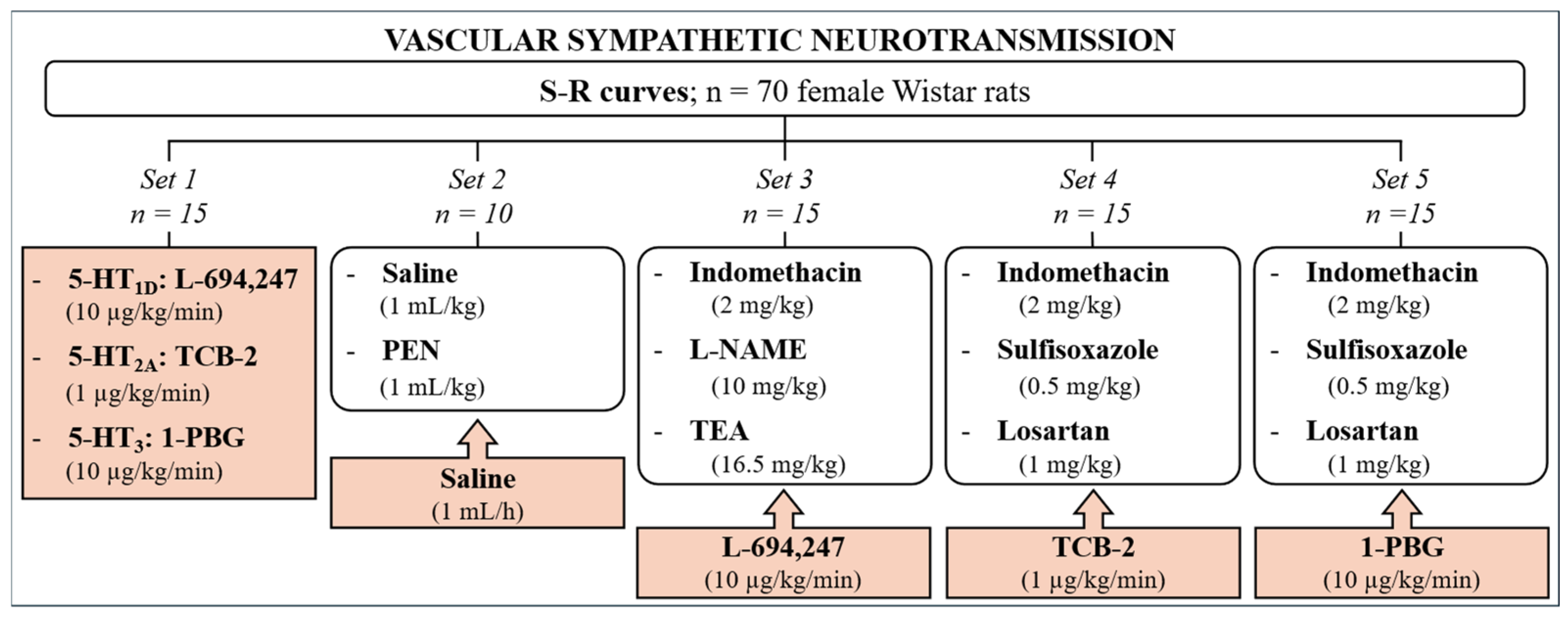 Ijms 26 09614 g006 Ijms 26 09614 g006