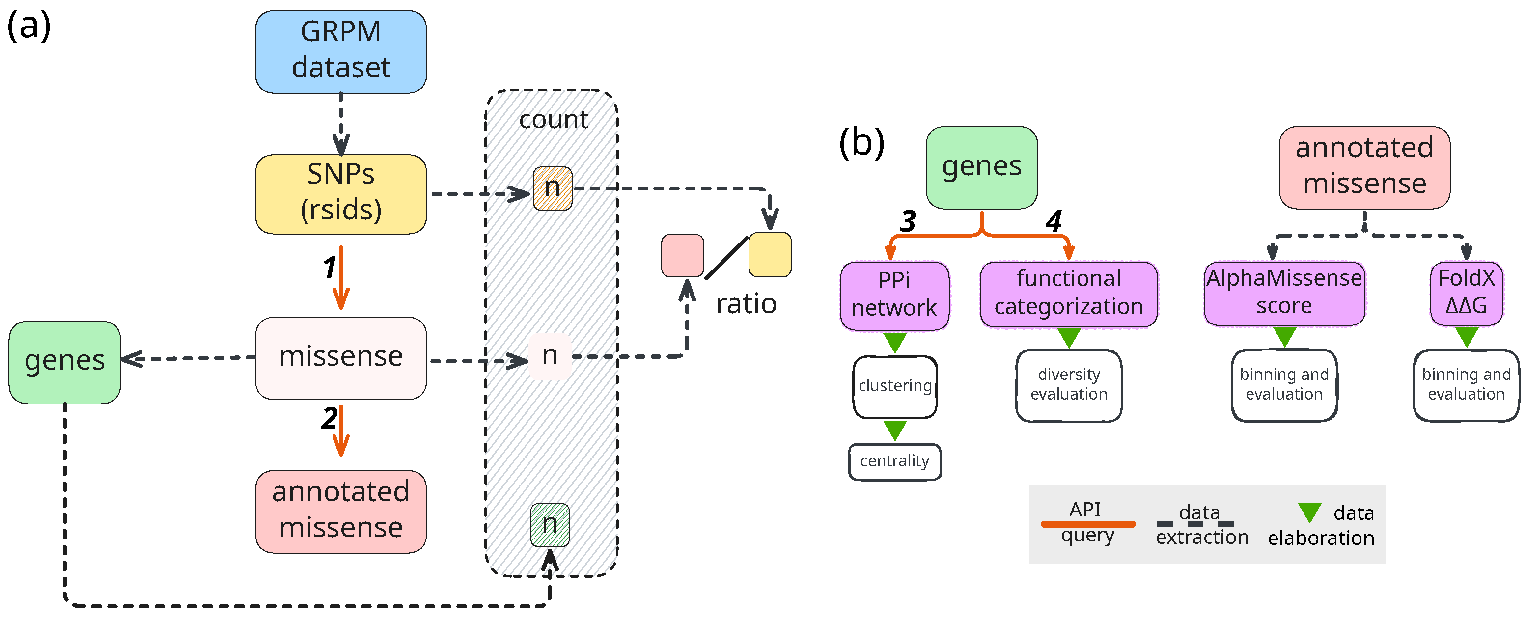 Ijms 26 09619 g001 Ijms 26 09619 g001