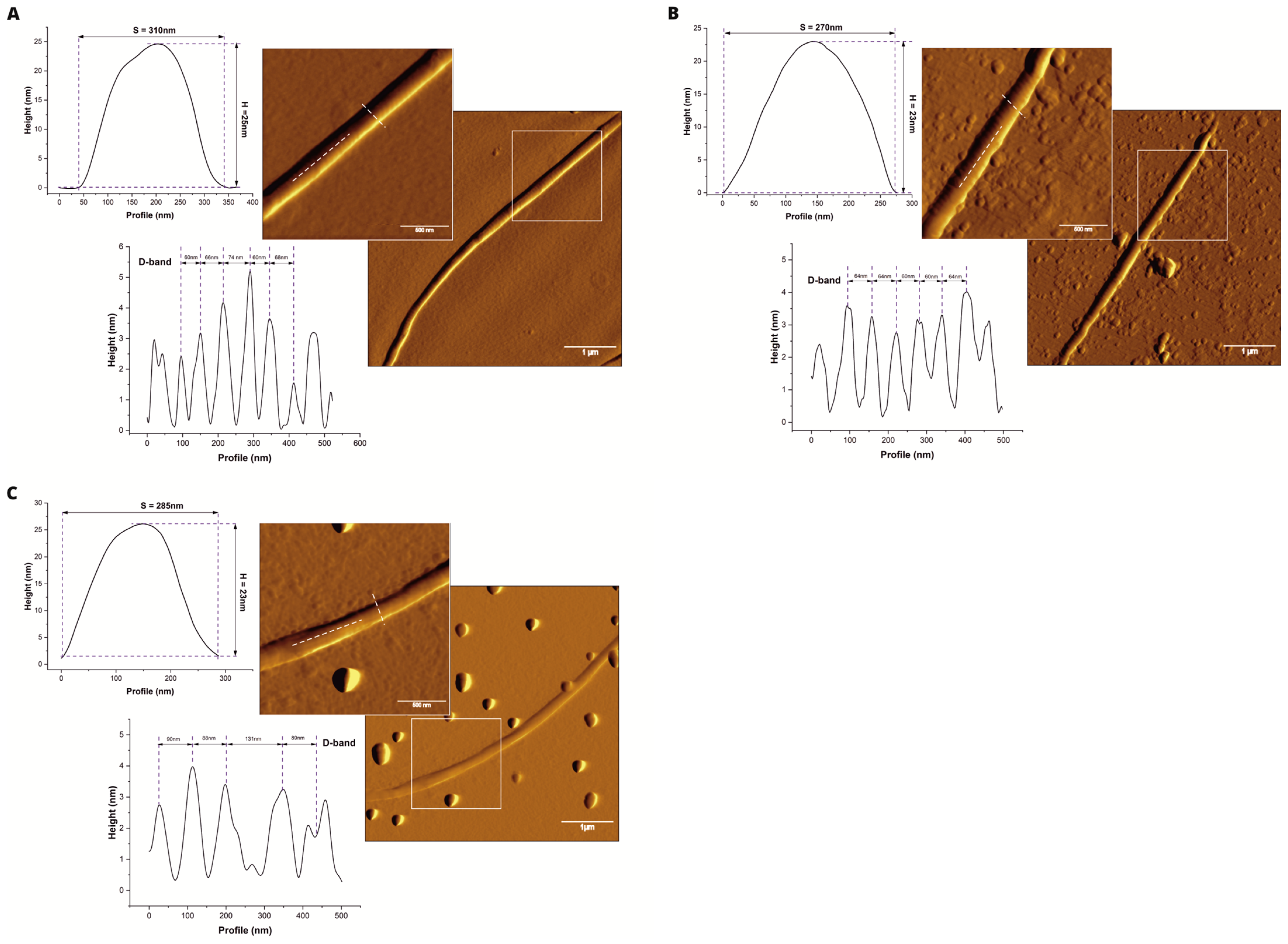 Ijms 26 09621 g001 Ijms 26 09621 g001