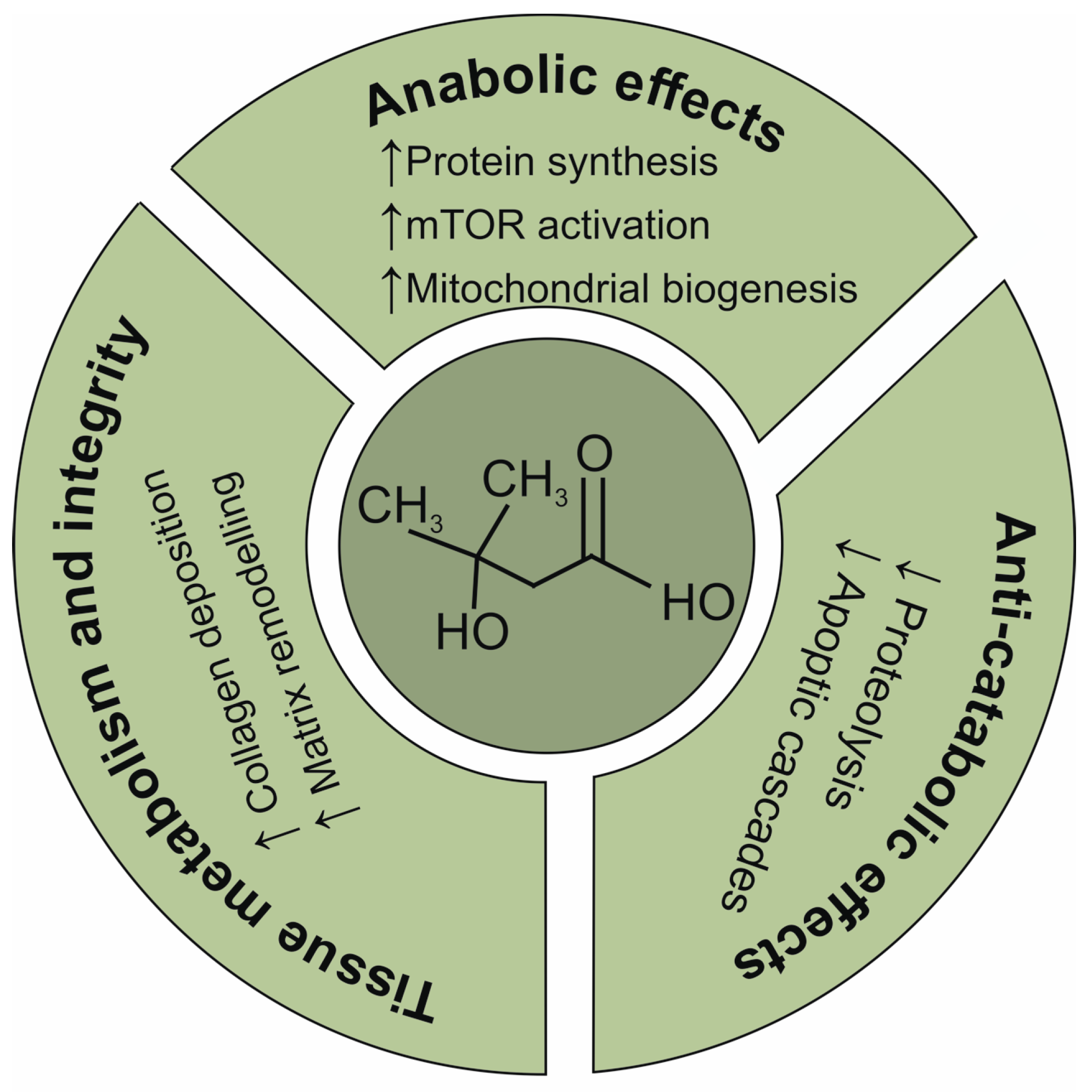 Ijms 26 09621 sch001 Ijms 26 09621 sch001