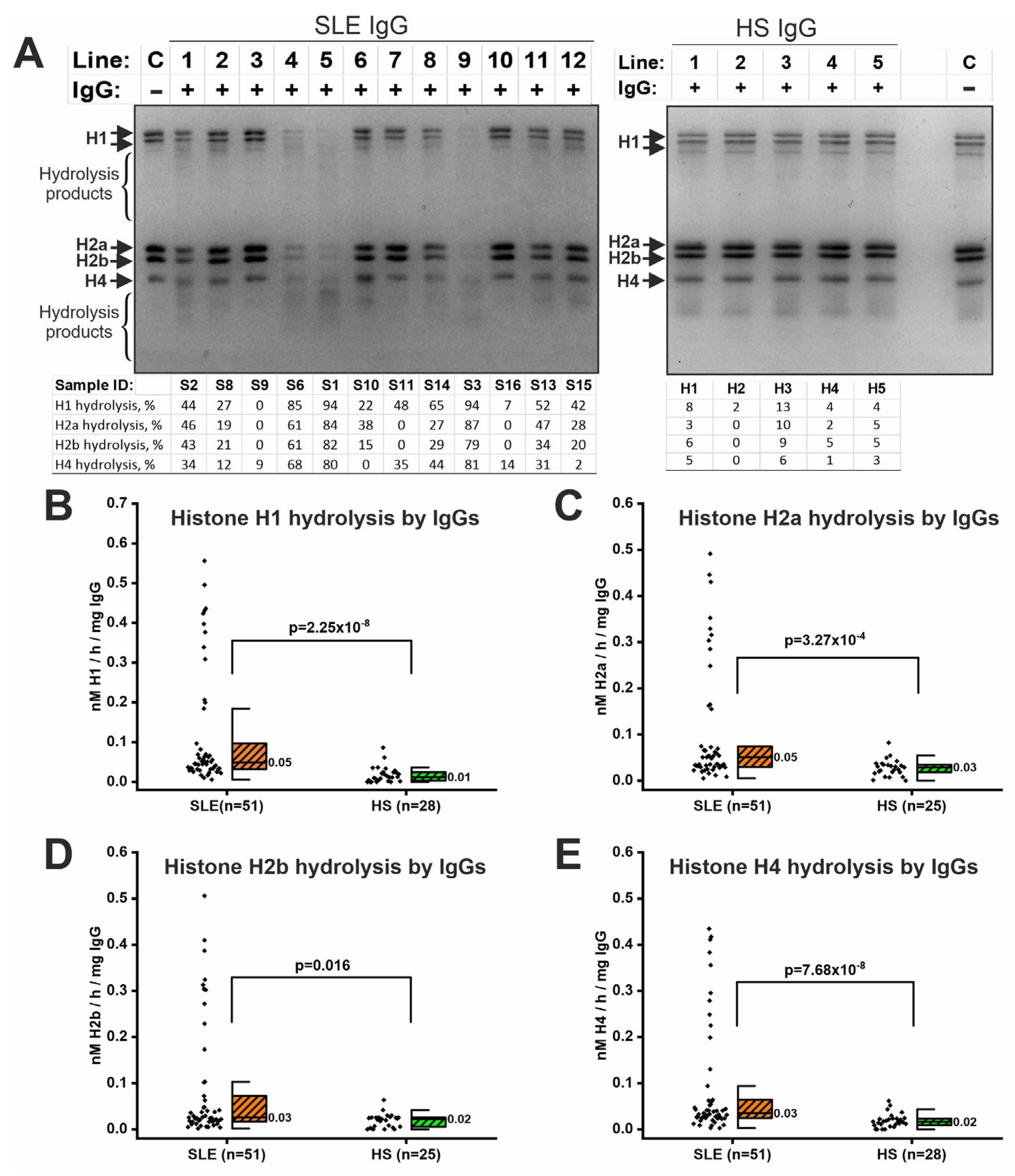 Ijms 26 09635 g002 Ijms 26 09635 g002