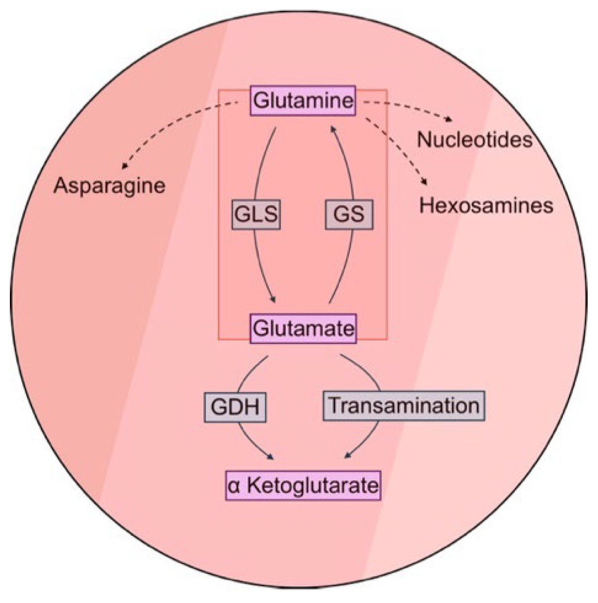 Ijms 26 09653 g001 Ijms 26 09653 g001
