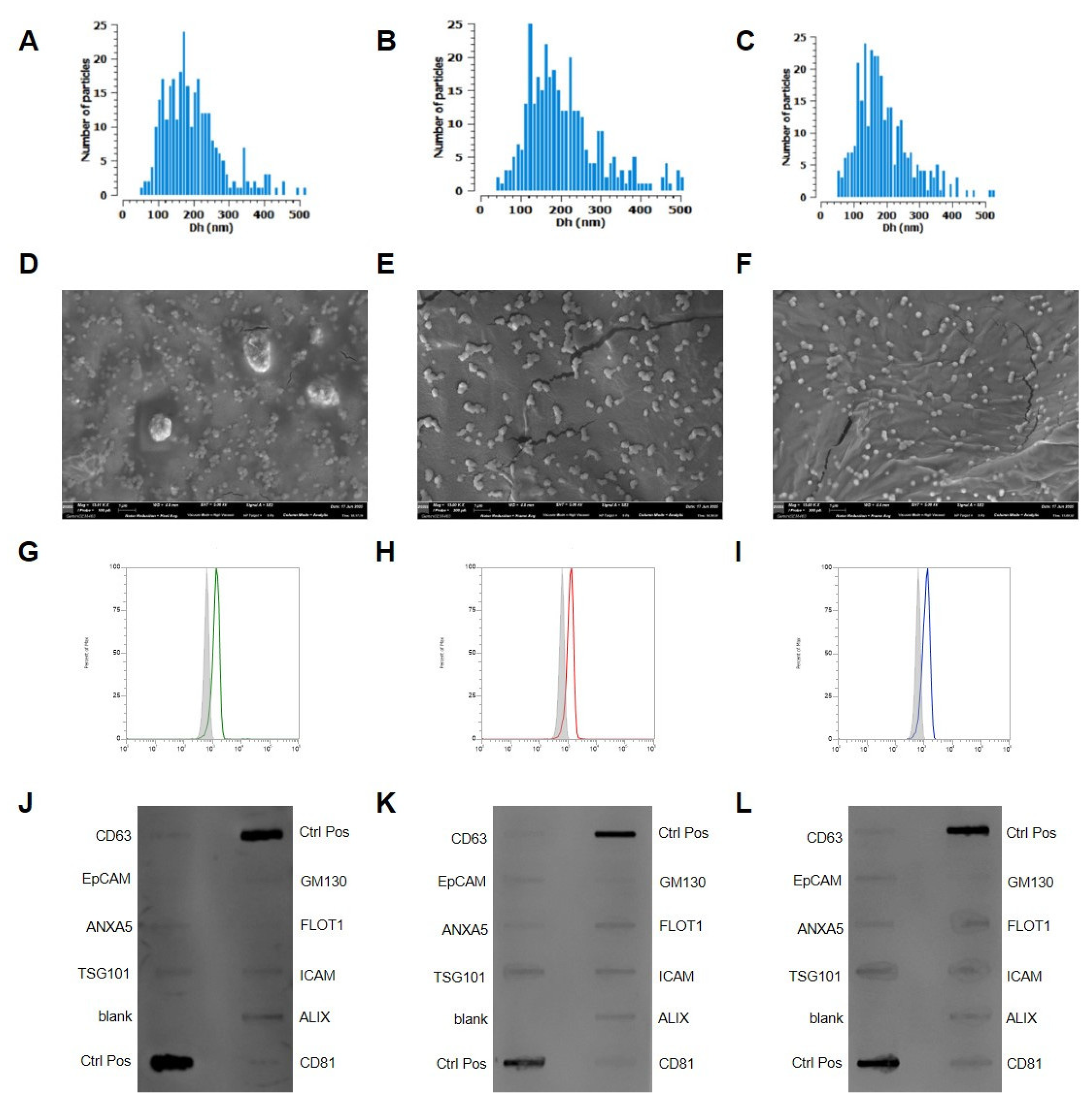 Ijms 26 09666 g002 Ijms 26 09666 g002