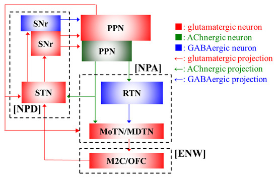 Emerging Role of Tripartite Synaptic Transmission in the